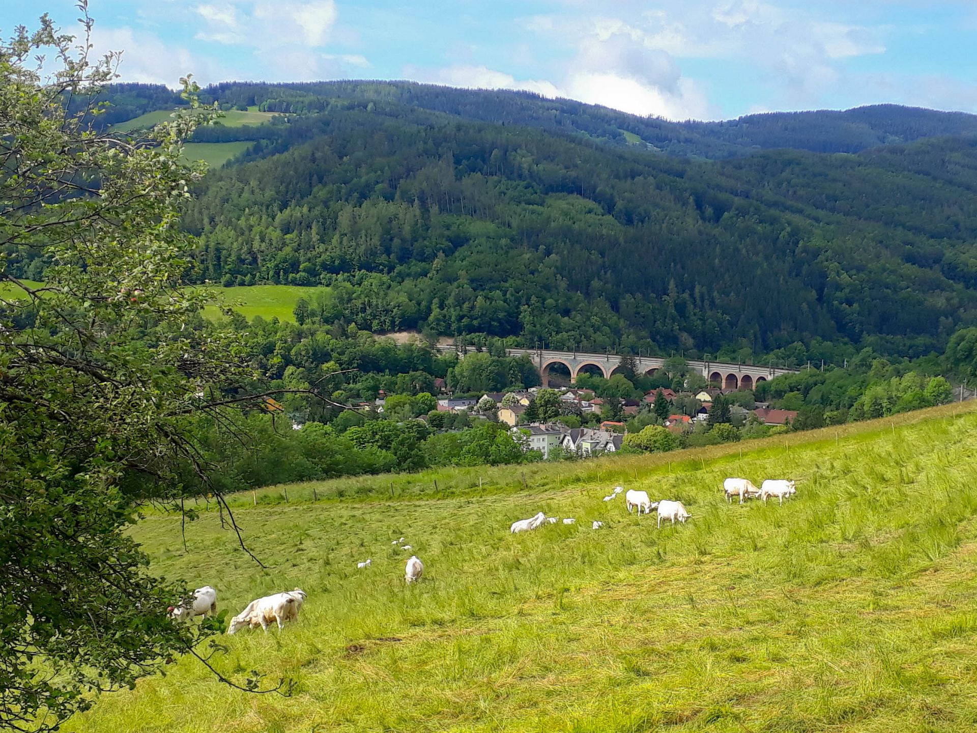 Bergwandern: Gahns-Überschreitung