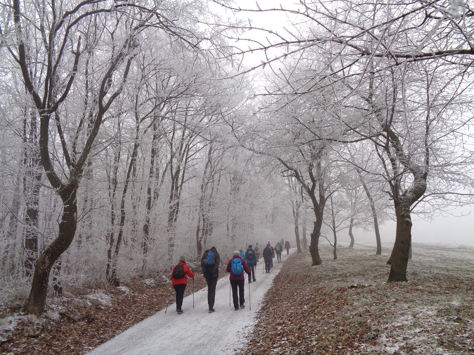 Erste Wanderung im Neuen Jahr