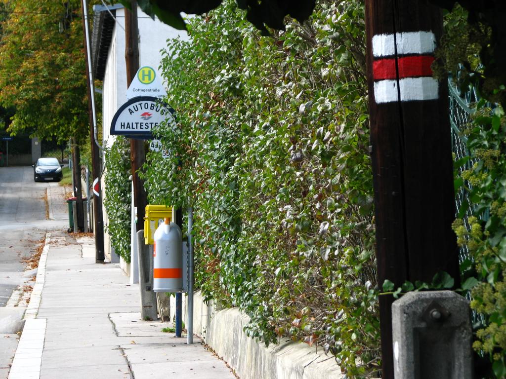 Der rot markierte Wanderweg von Hadersdorf zum Moosgraben