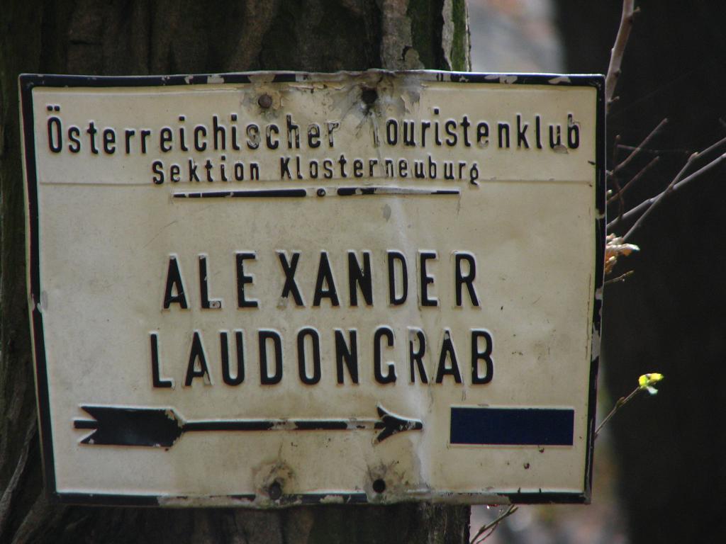 Der blau markierte Wanderweg von der Salzwiese zum Alexander Laudon Grab