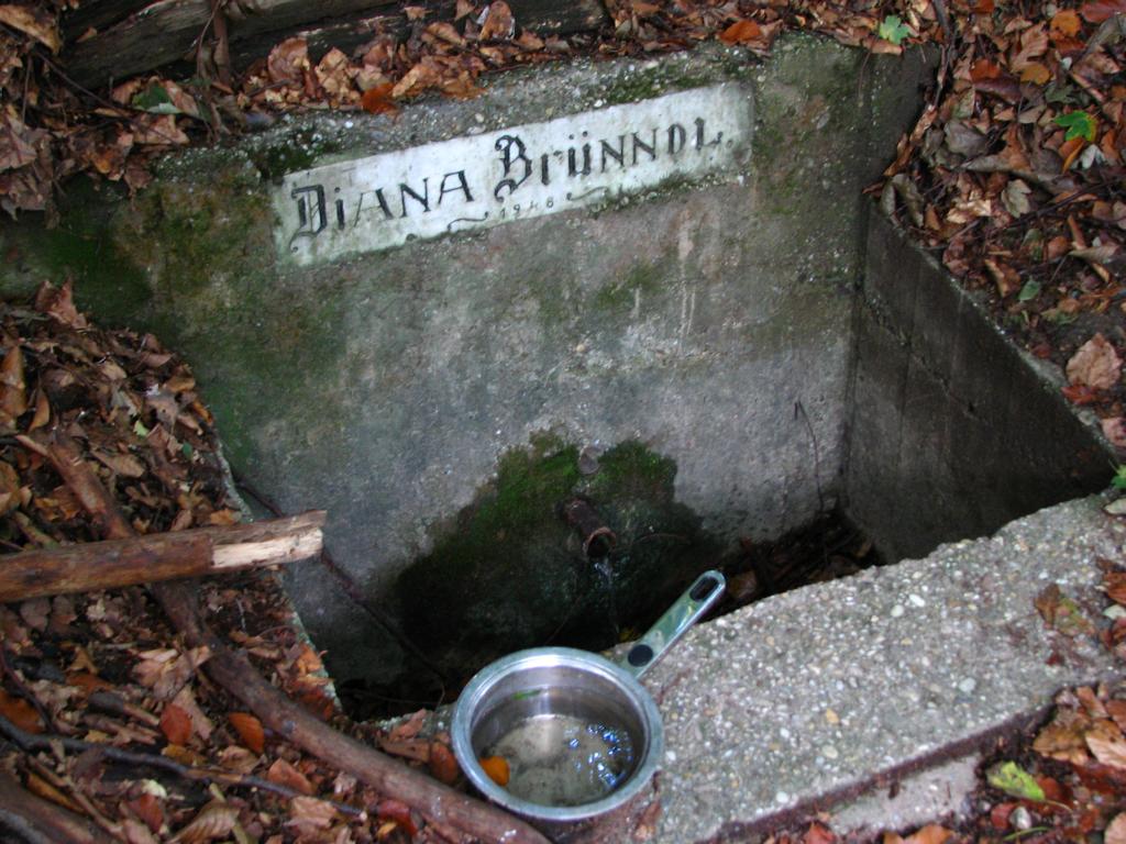 Der gelb markierte Wanderweg vom Kasgraben/Grüner Jäger zum Dianabründl