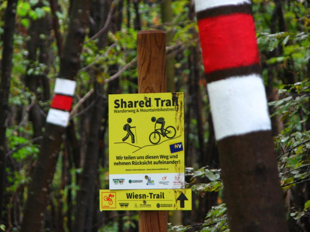 Der rot markierte Wanderweg von Vorderhainbach auf die Hohe Wand