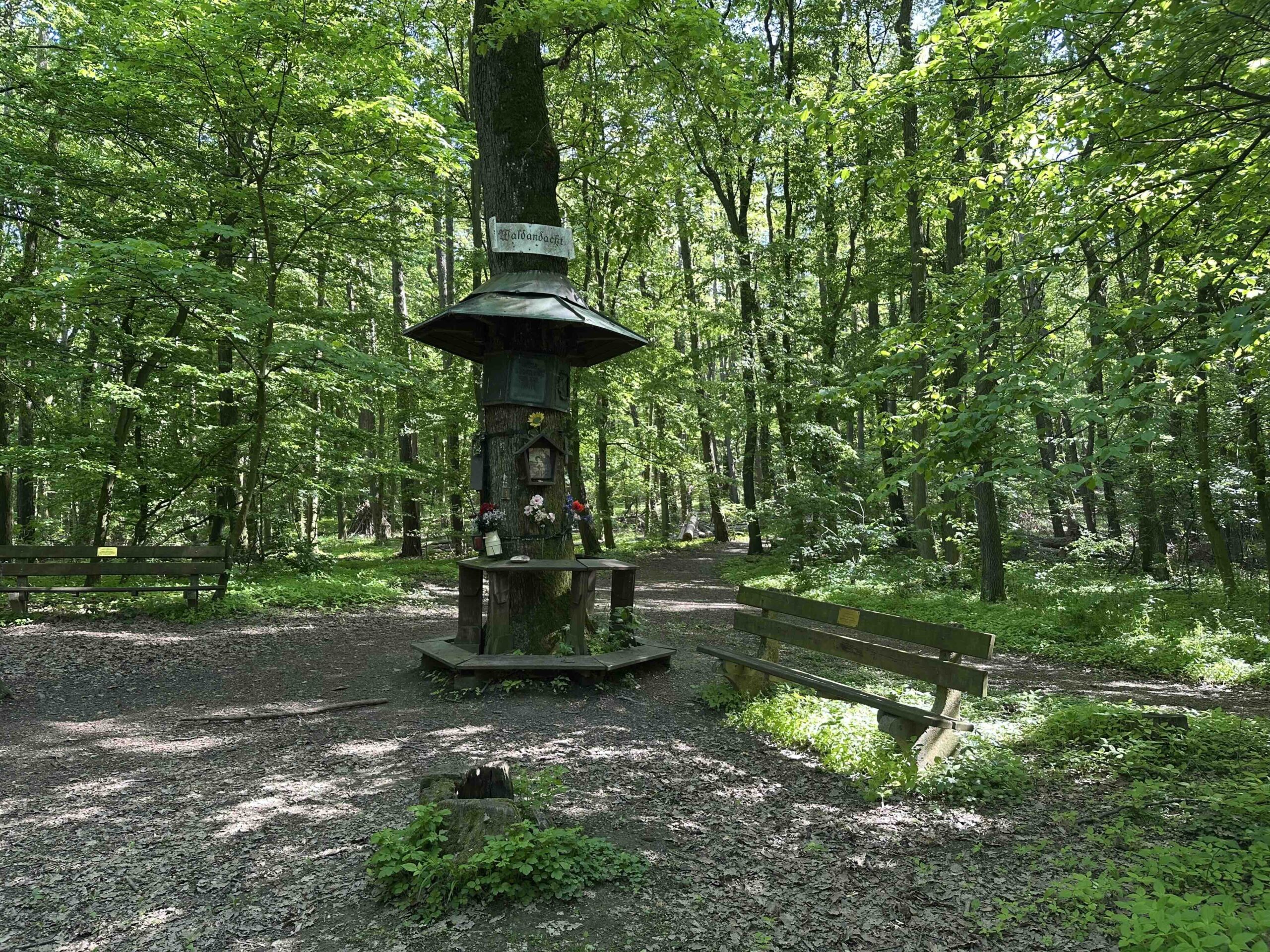 Blaue Markierung Kritzendorf/Leander-Köhler-Weg - Waldandacht