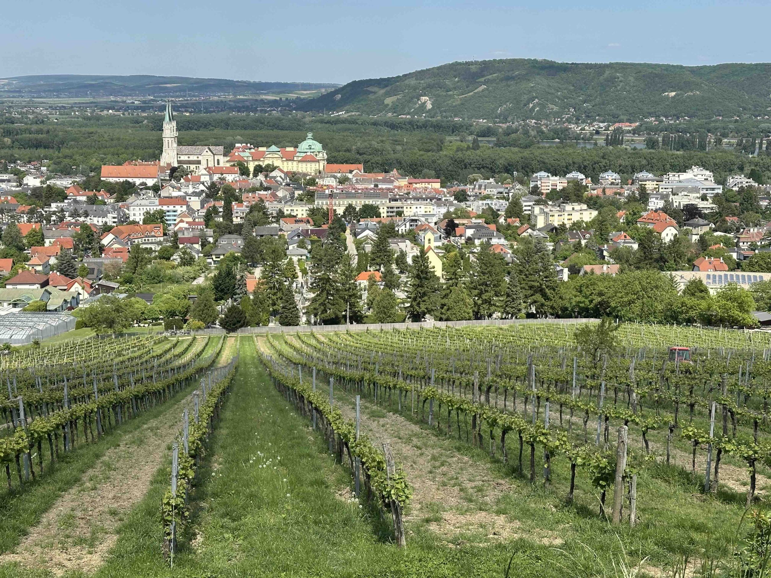 Grüne Markierung Klosterneuburg Kierling Bahnhof - Hohenauer Wiese