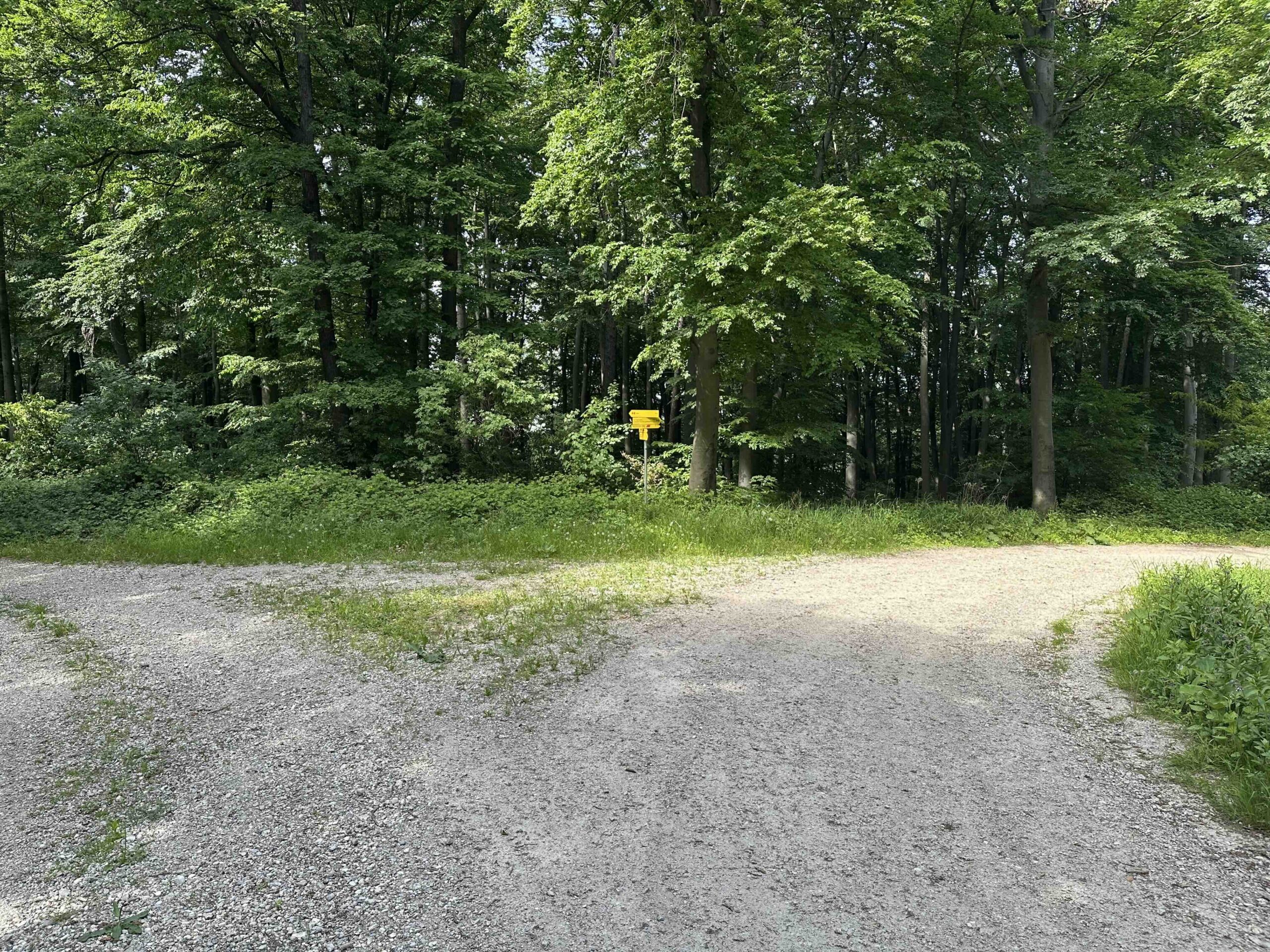 Blaue Markierung Am Herzogenburger Weg - Hundsberg