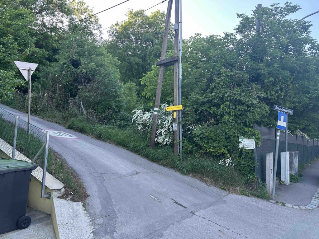 Thomas-Brunner-Weg