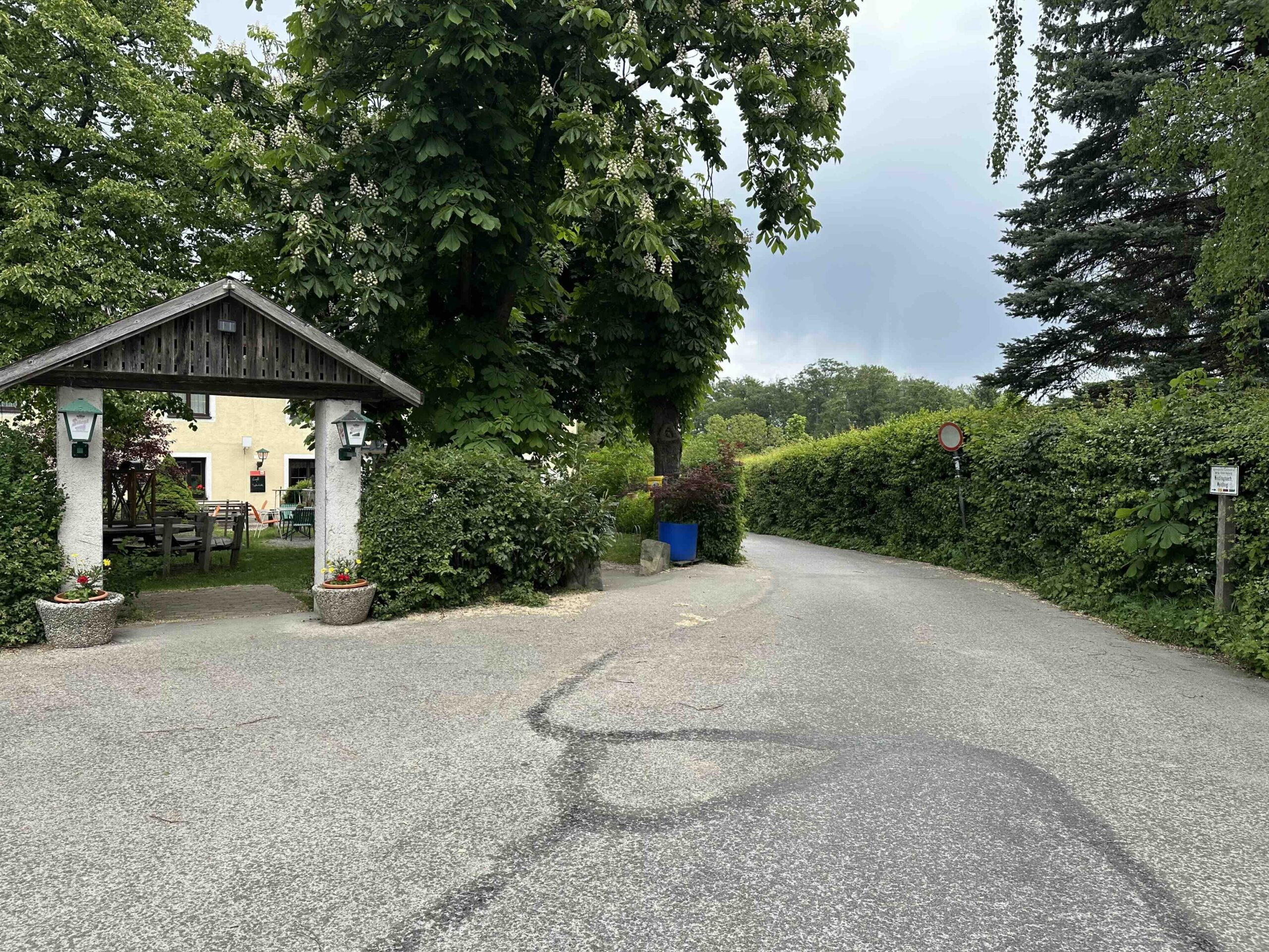 Gelbe Markierung Windischhütte - Eichenhain