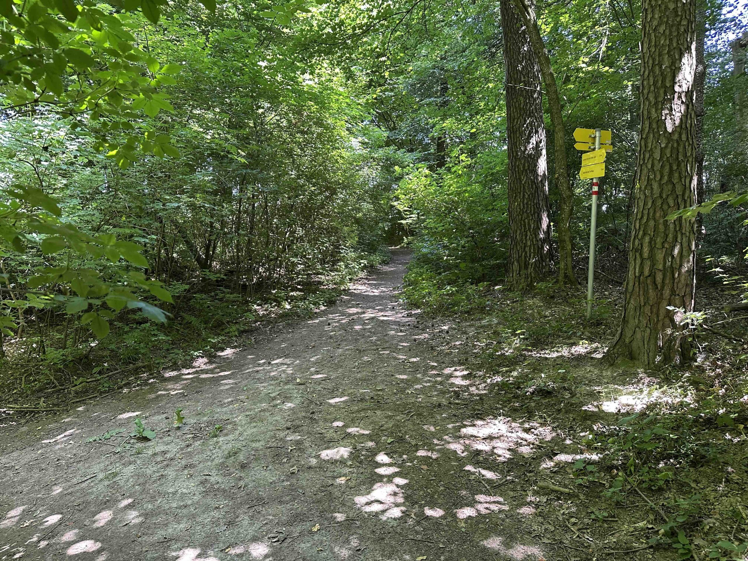 Wegknoten Am Binderjockl-Weg