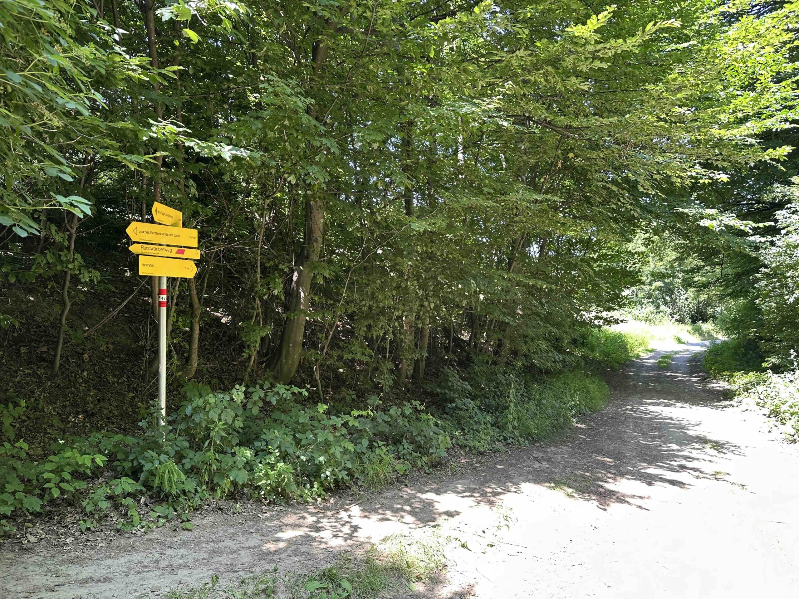 Wegknoten Beim Forsthaus