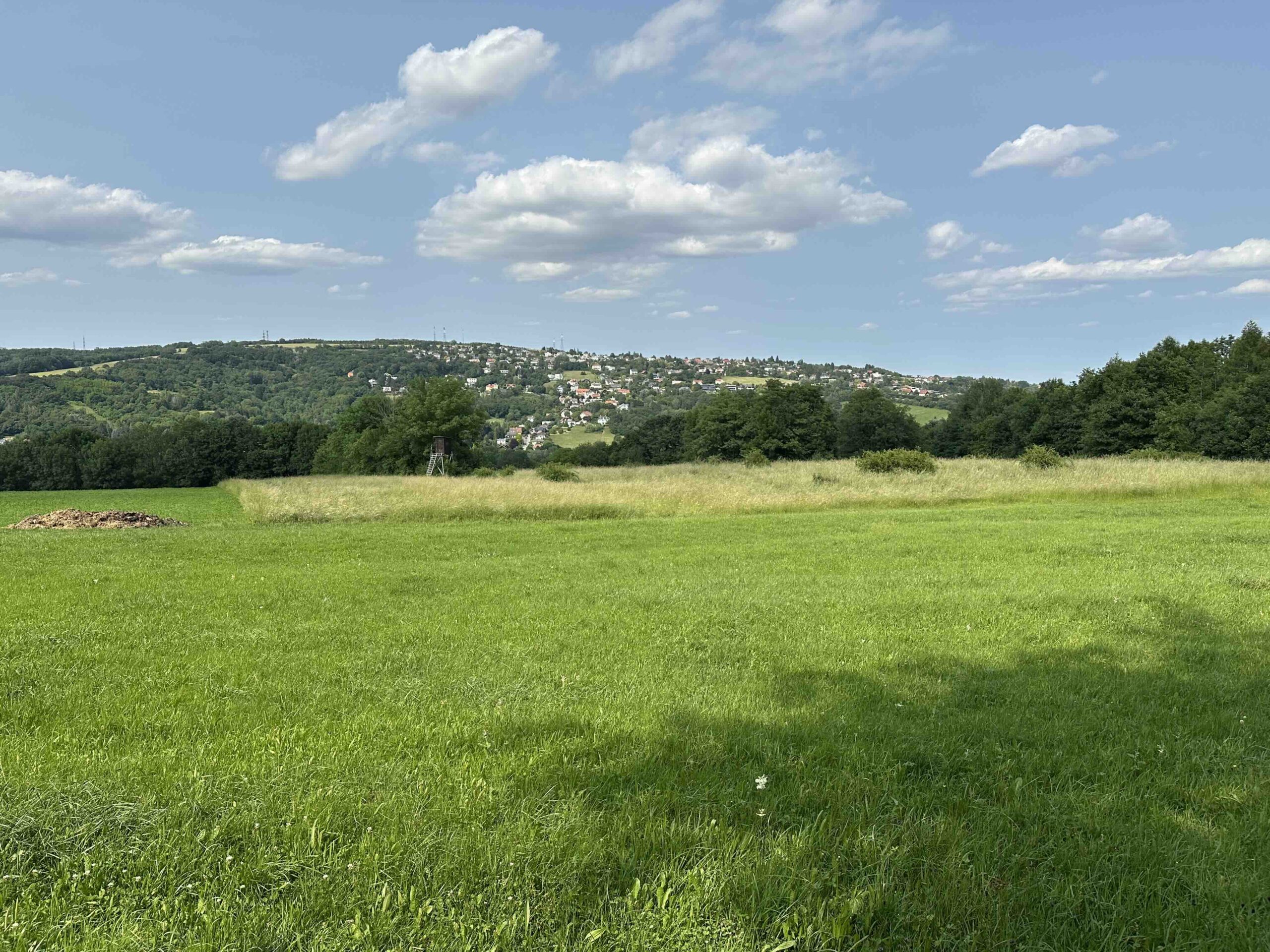 Gelbe Markierung Kierling - Haschhof (Dr. Walter Brandstetter Weg)