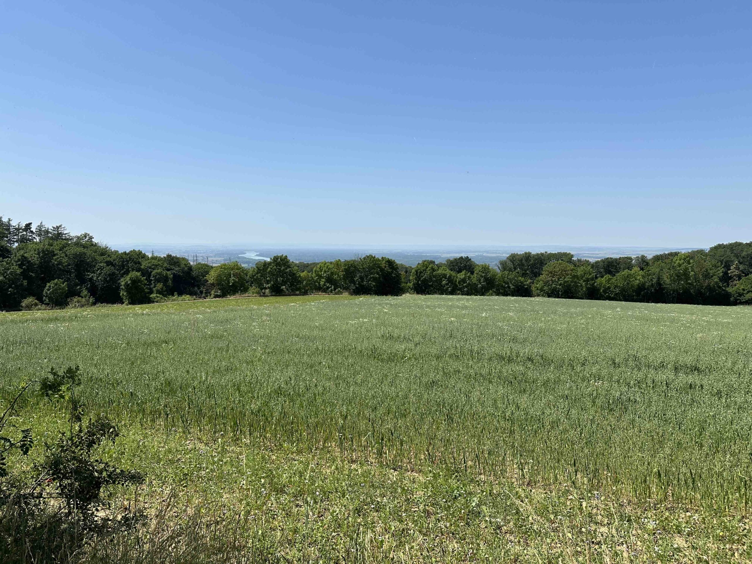 Rote Markierung Am Binder-Jockl-Weg - Hadersfeld/Schloßgasse