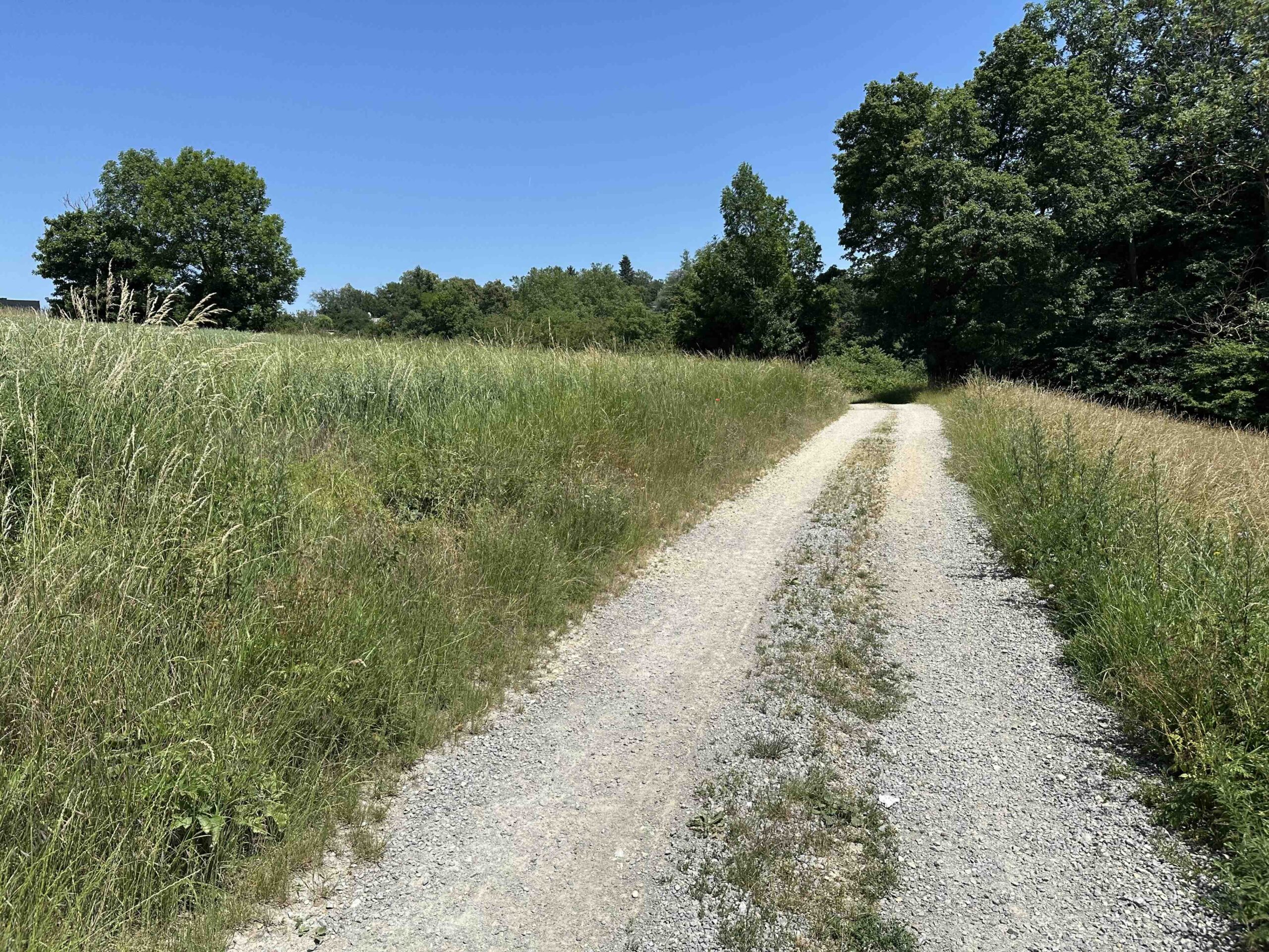 Hadersfeld-Forsthaus1