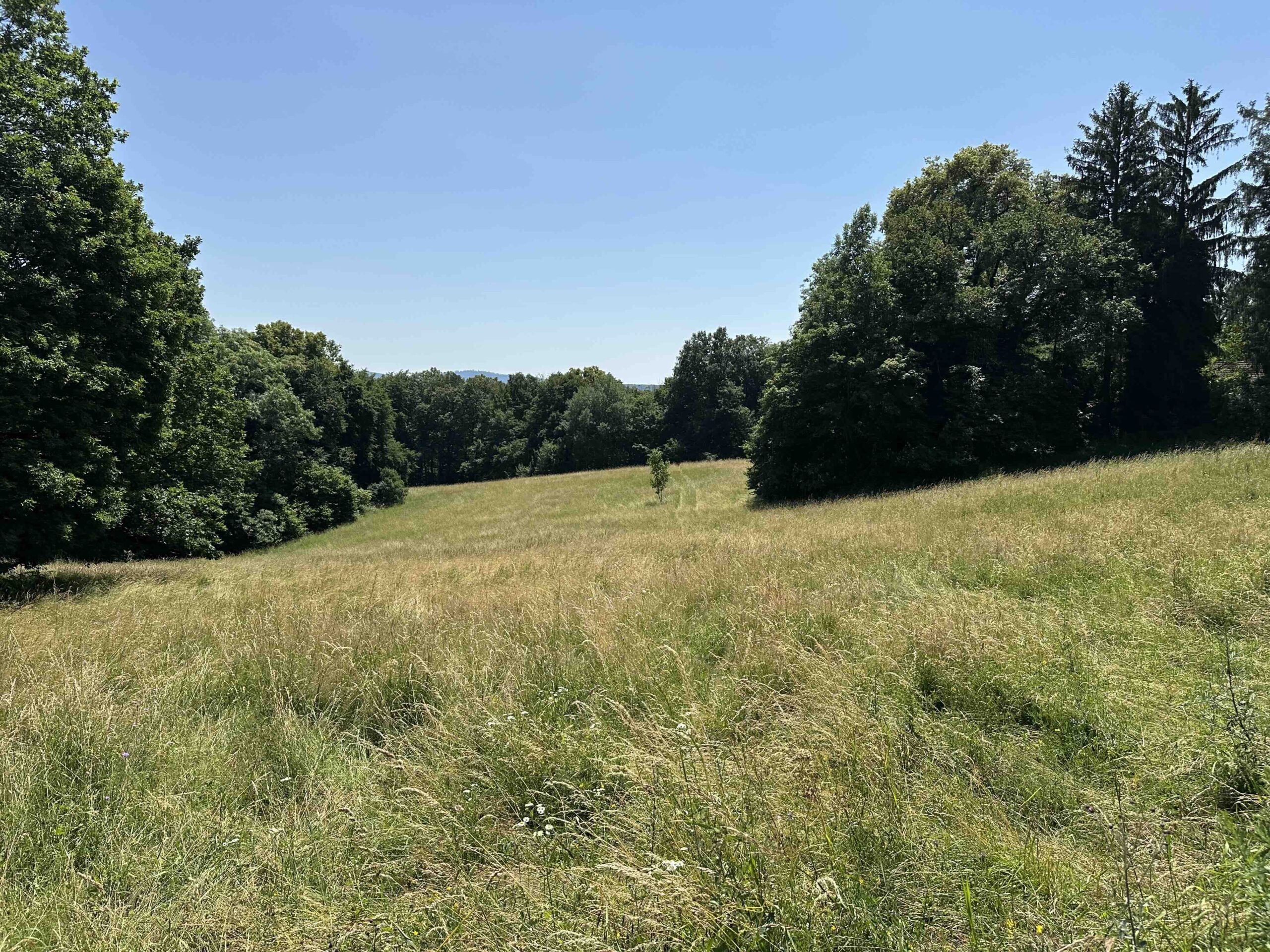 Hadersfeld-Forsthaus2