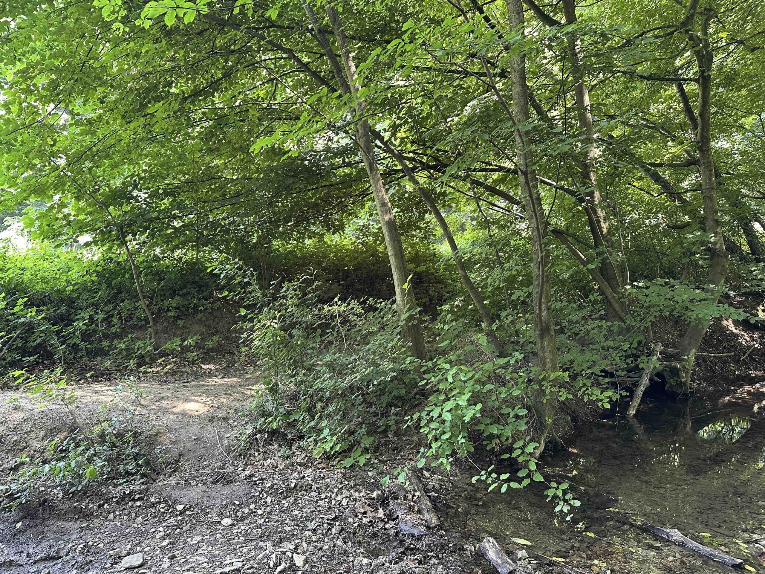 Haselbach-Eichenhain6