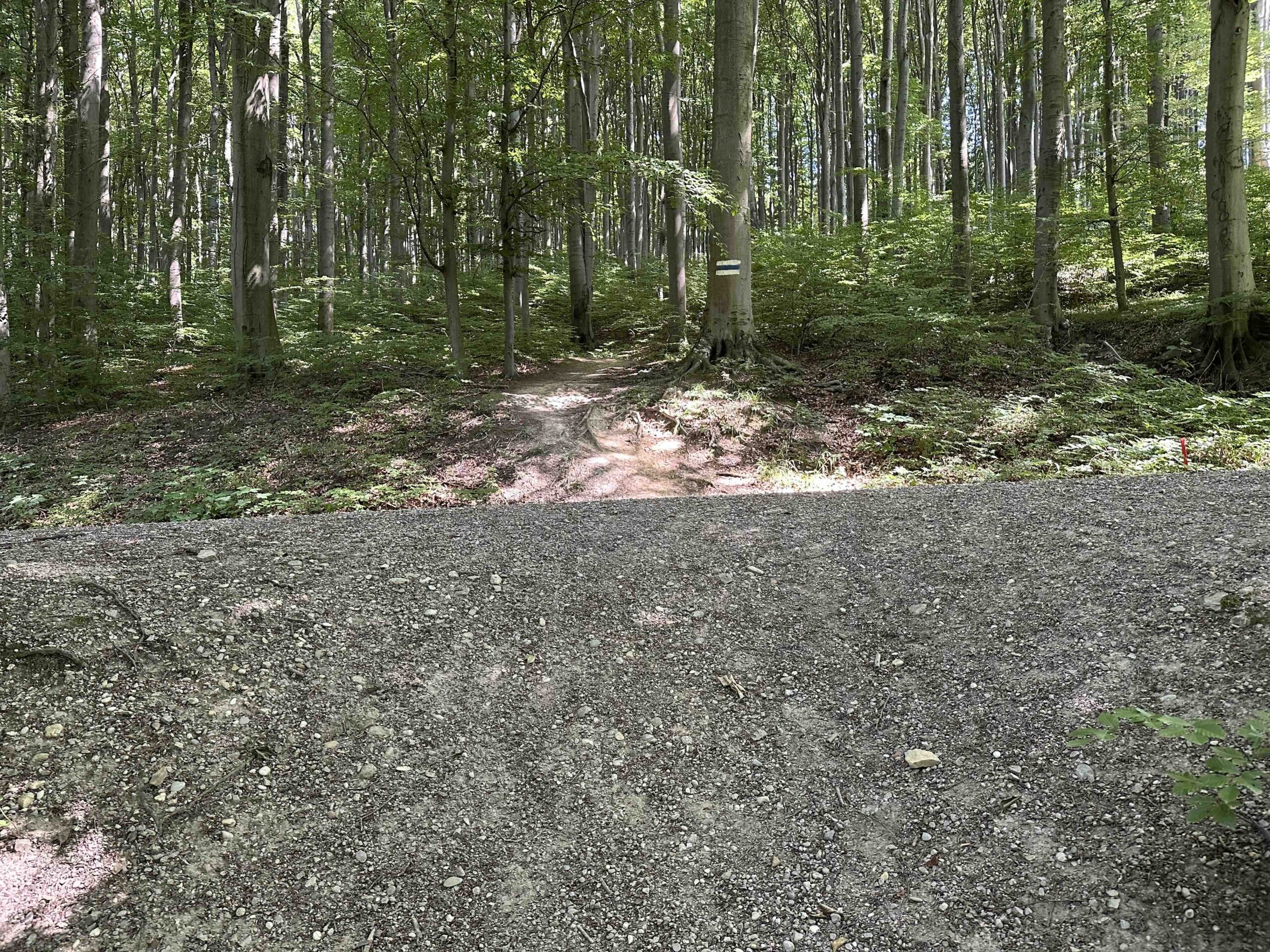 Haselbach-Eichenhain9