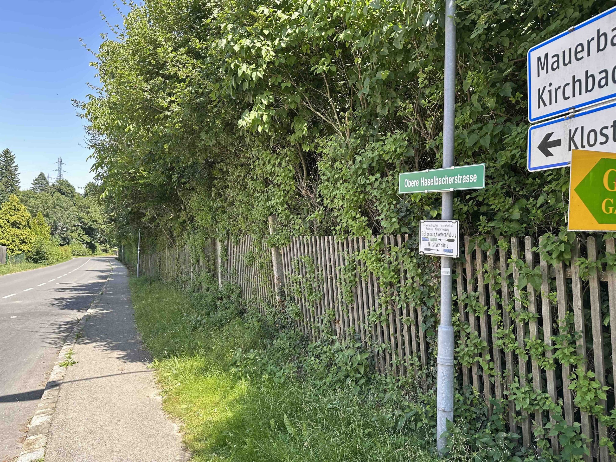 Wegknoten Hintersdrof/Schloss