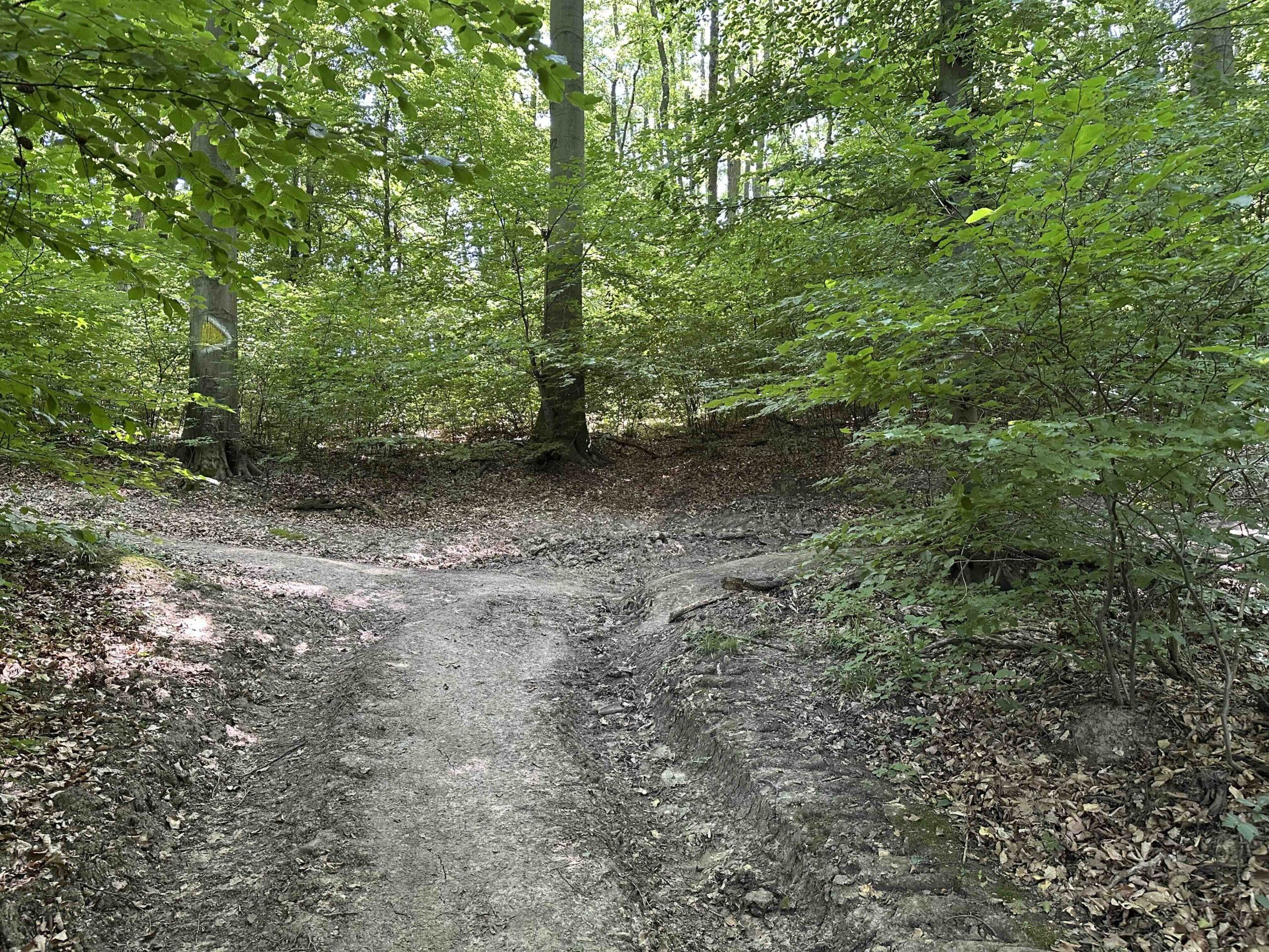 Lourdesgrotte-Hintersdorf11