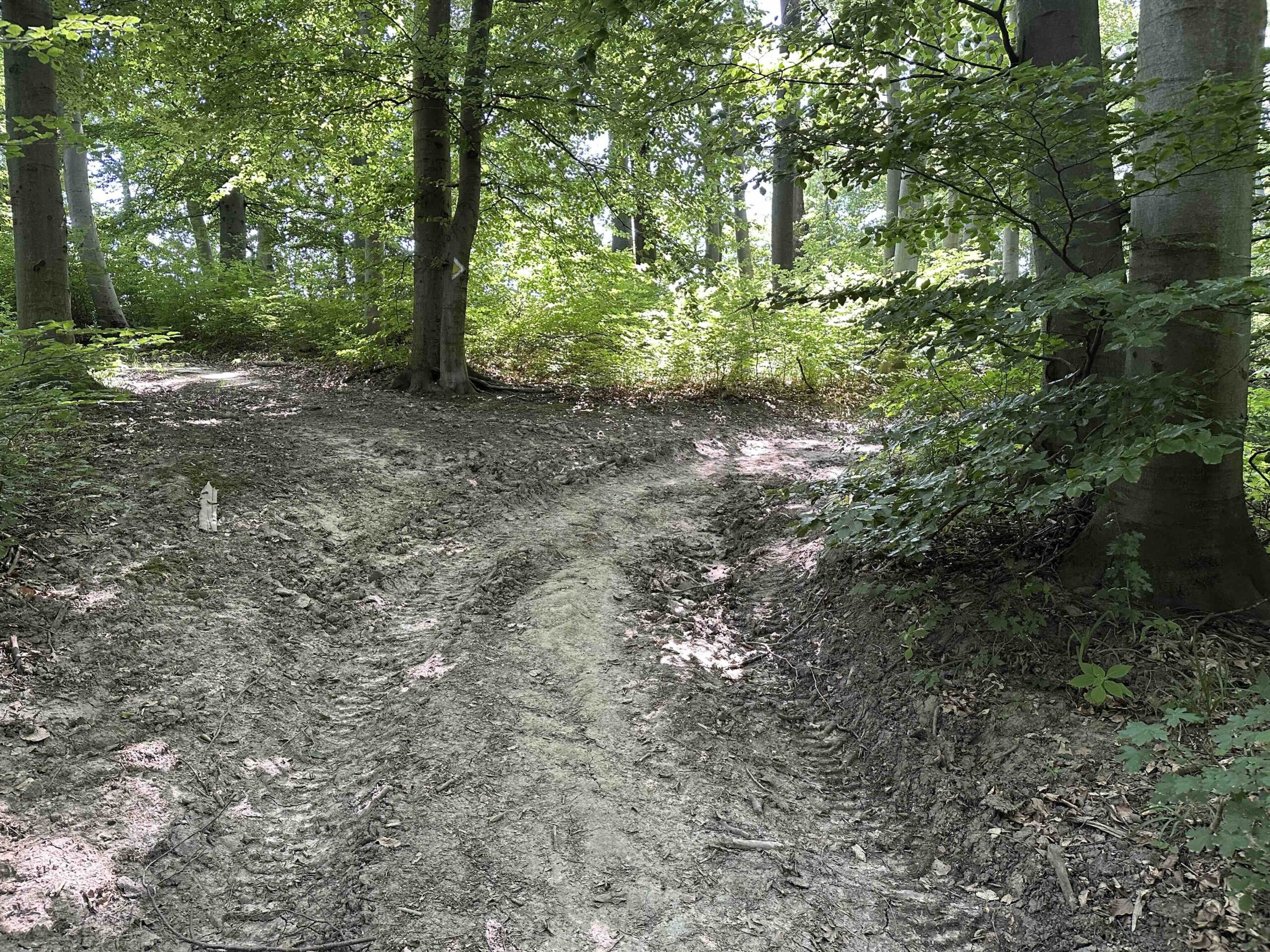 Lourdesgrotte-Hintersdorf12