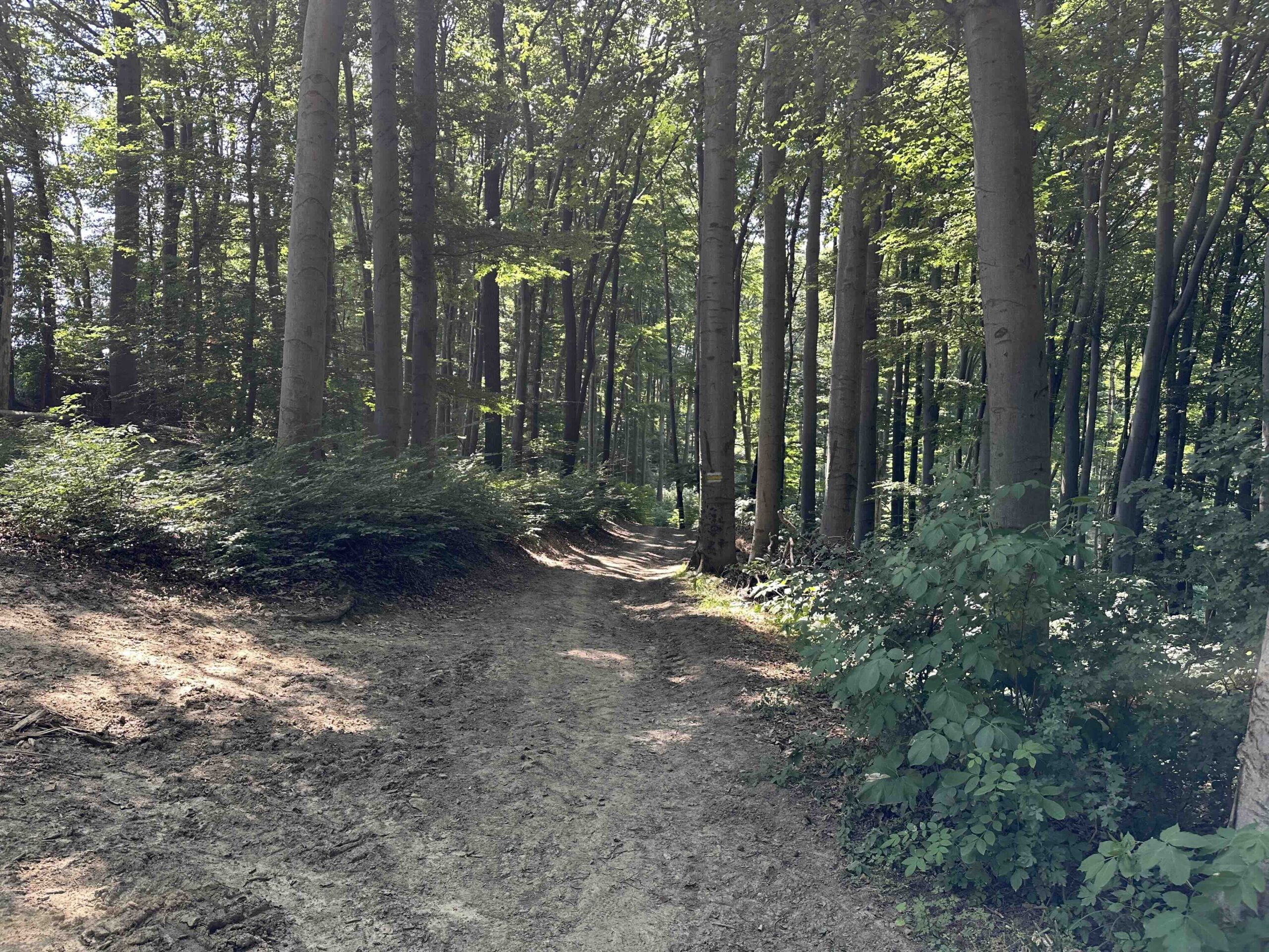 Lourdesgrotte-Hintersdorf13