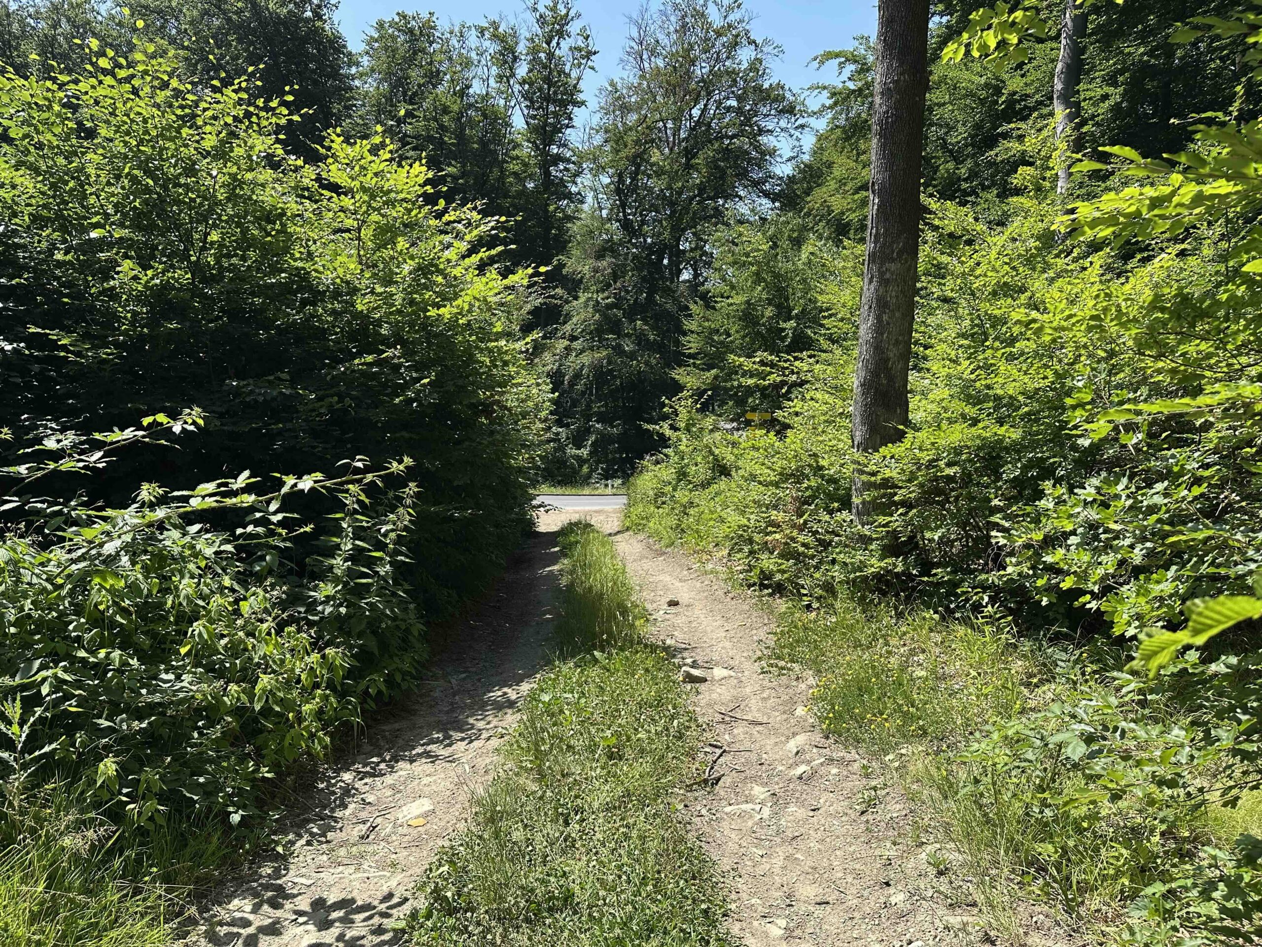 Lourdesgrotte-Hintersdorf14