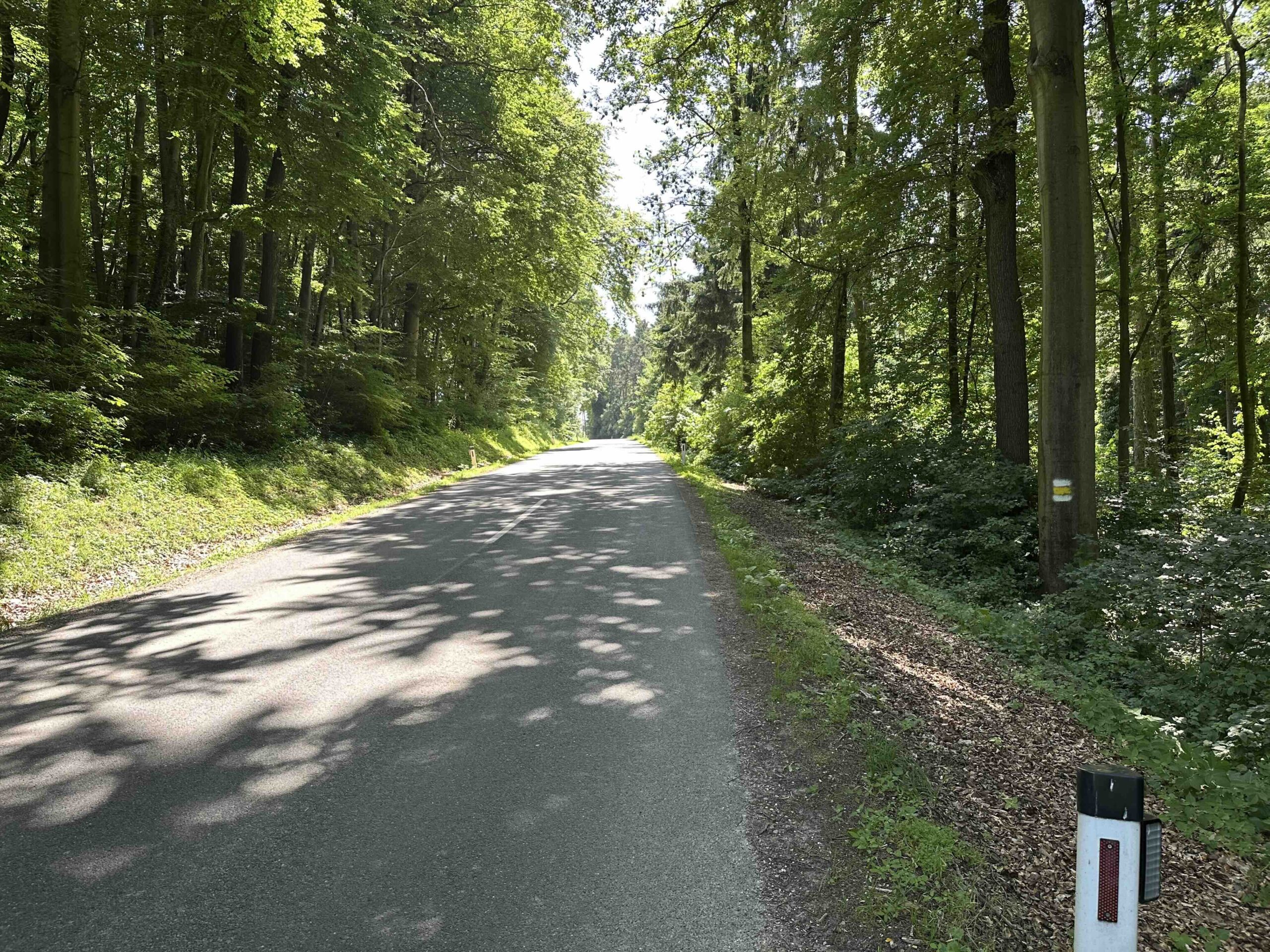 Lourdesgrotte-Hintersdorf16