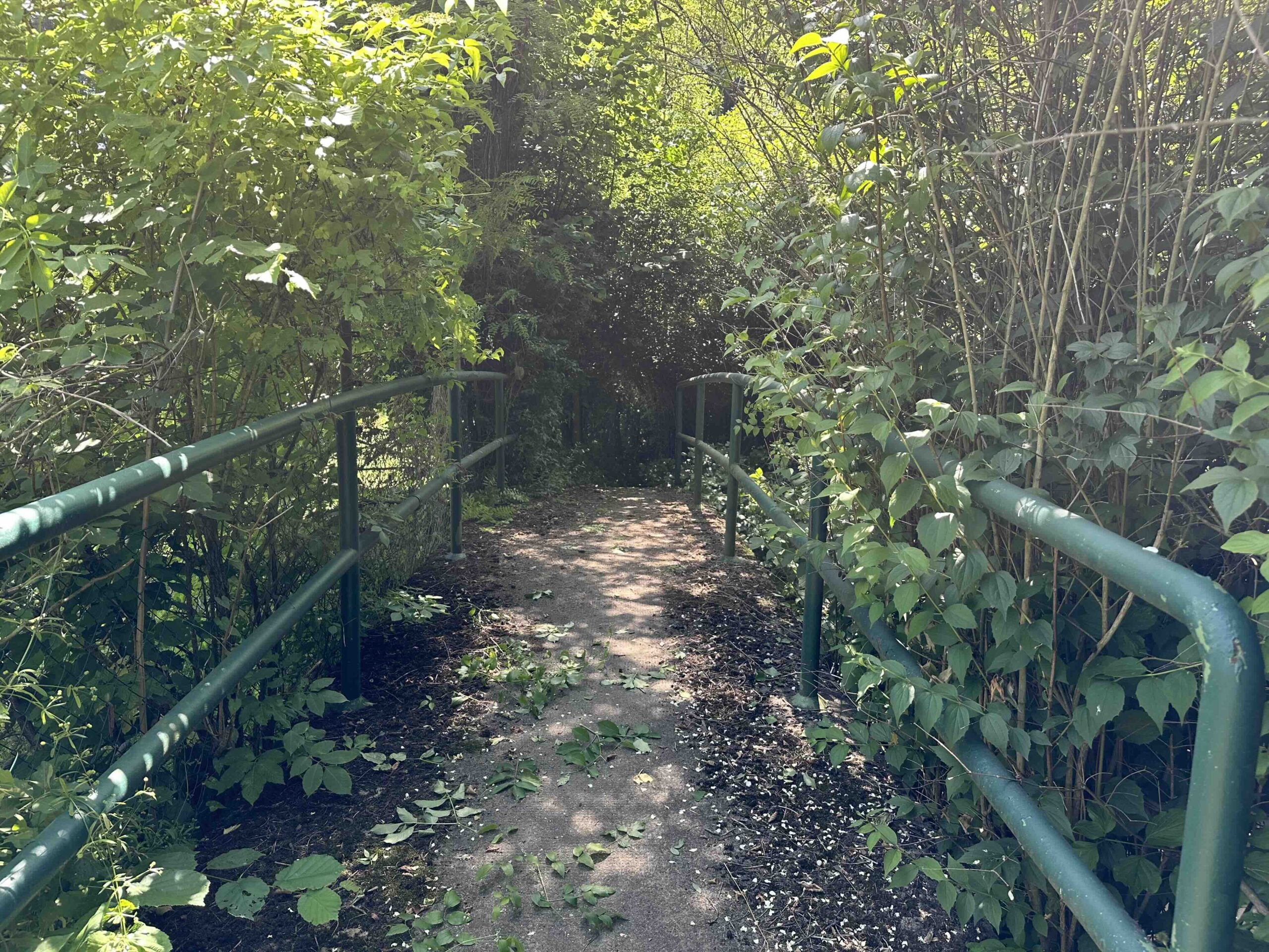 Lourdesgrotte-Hintersdorf2