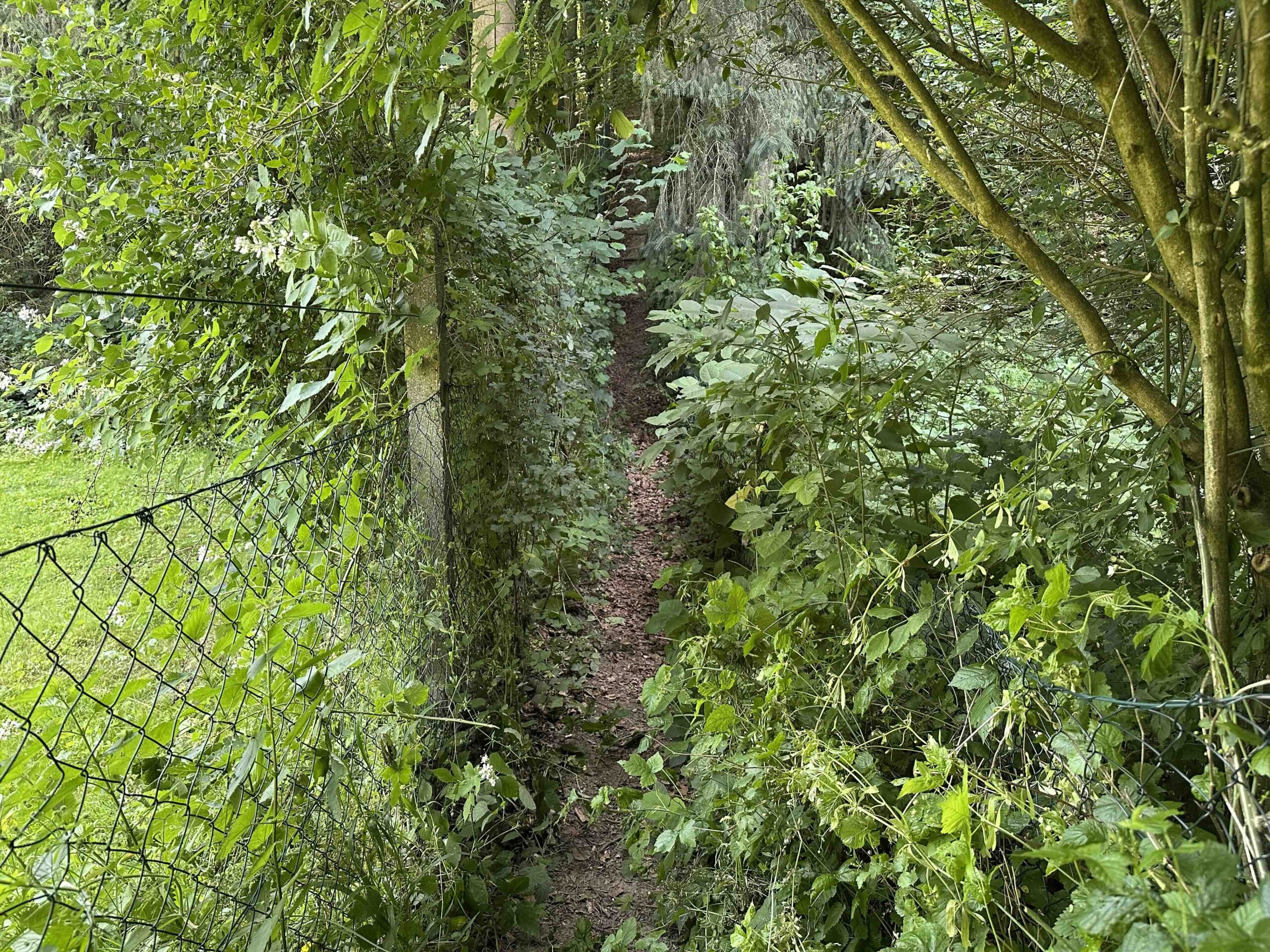 Lourdesgrotte-Hintersdorf3