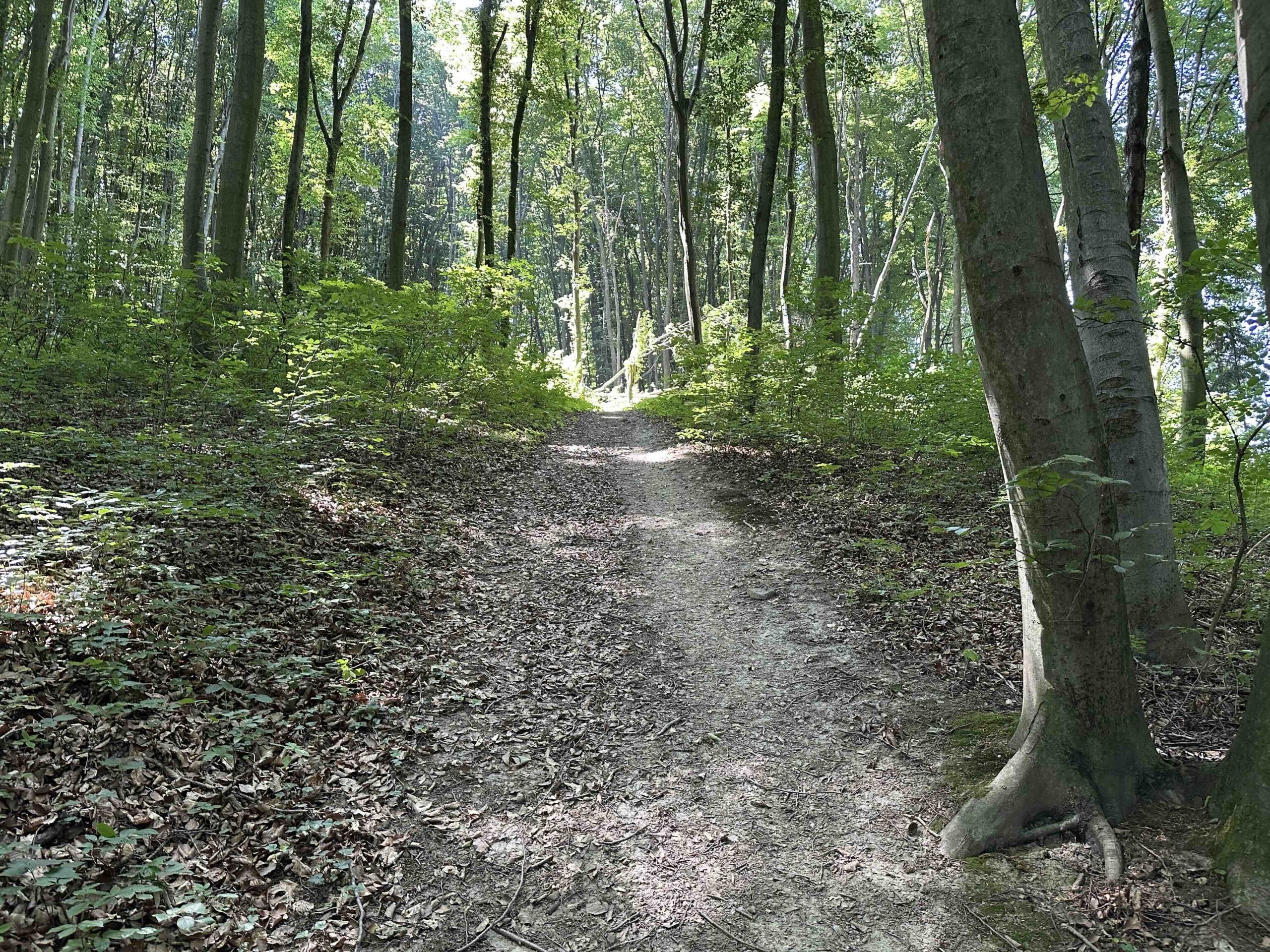 Lourdesgrotte-Hintersdorf5