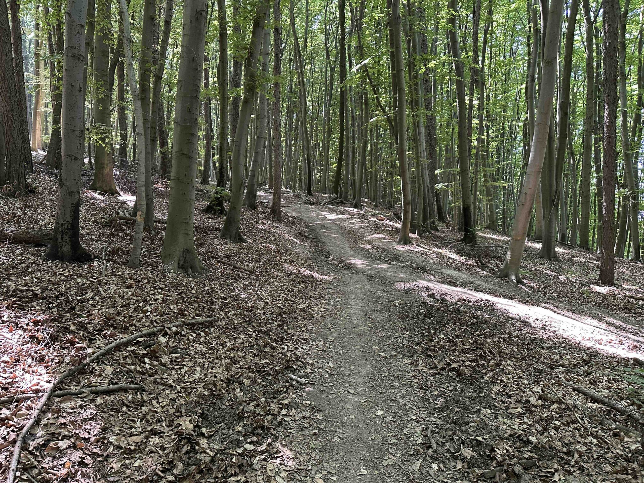 Lourdesgrotte-Hintersdorf8