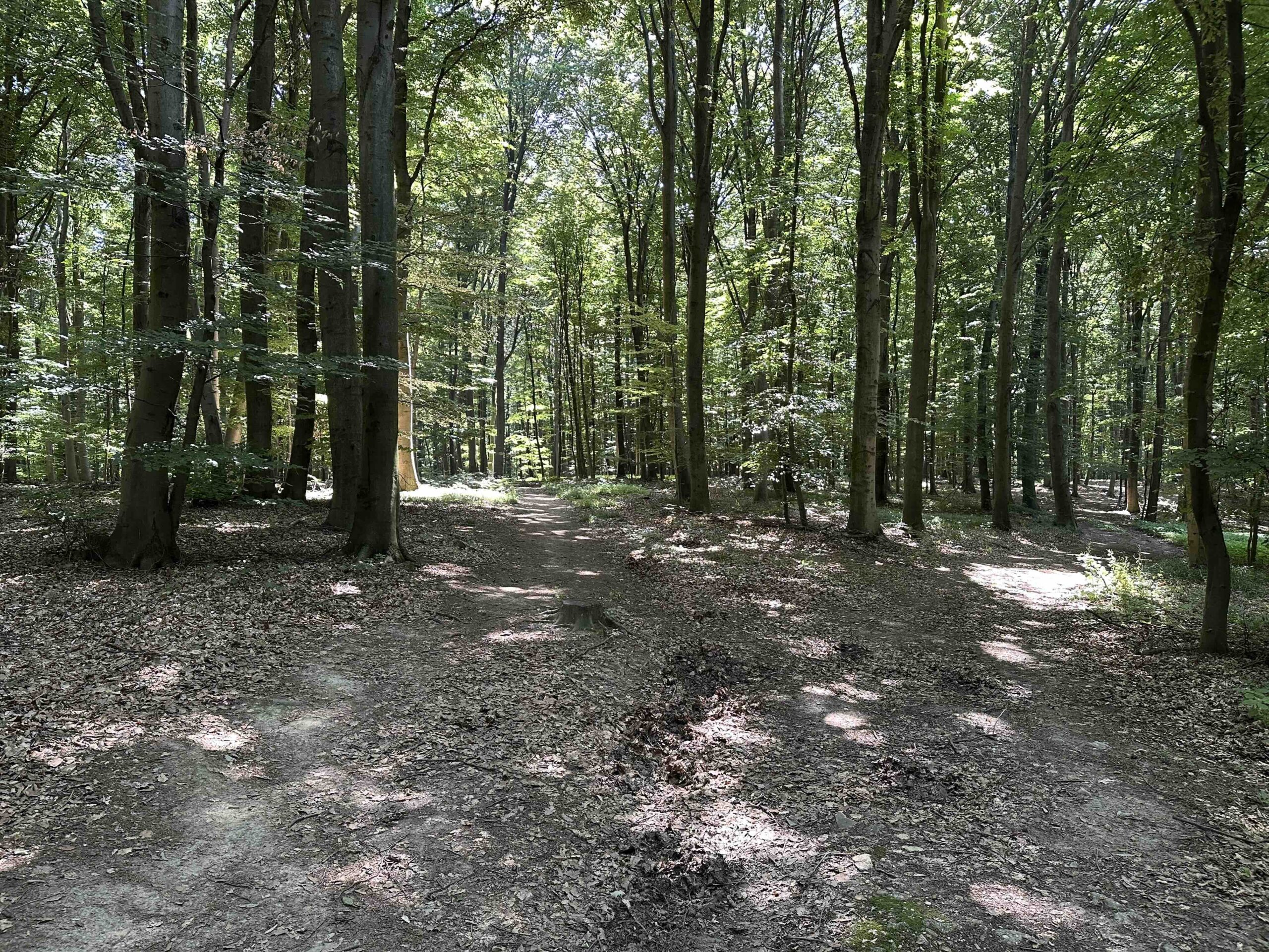 Lourdesgrotte-Hintersdorf9