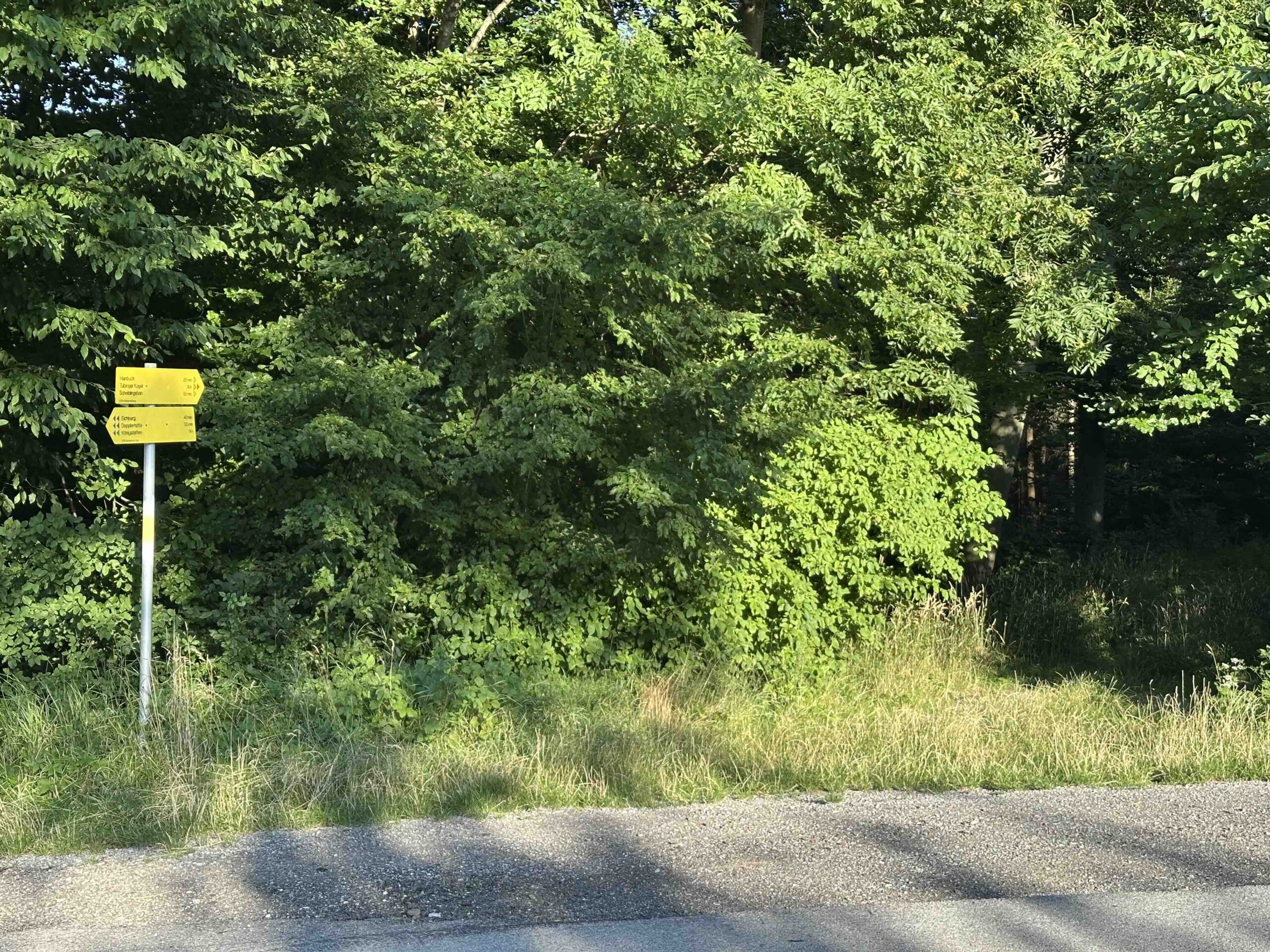 Wegknoten Einräumerhaus