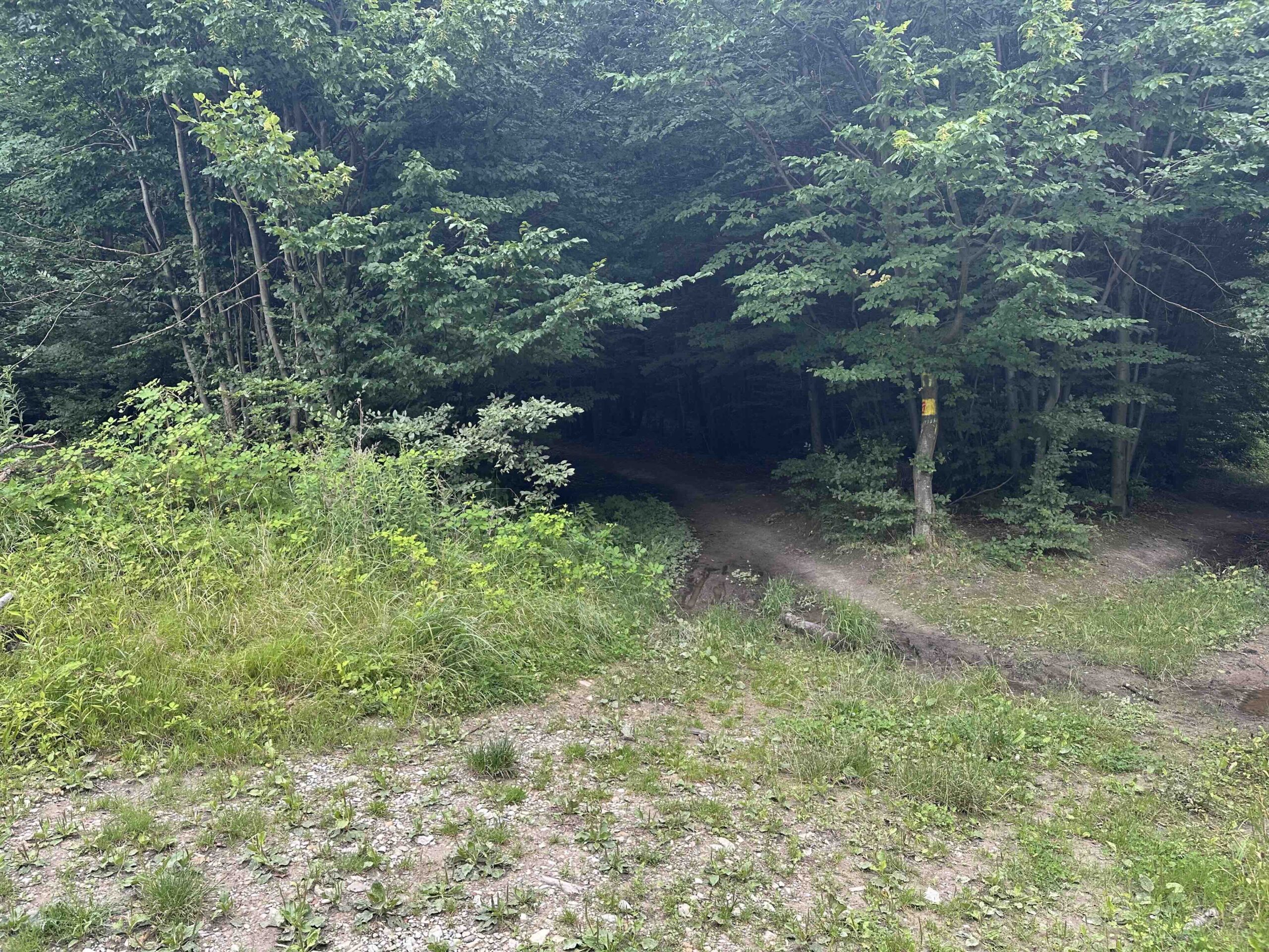 Goldbrunngraben-Steinriegl1