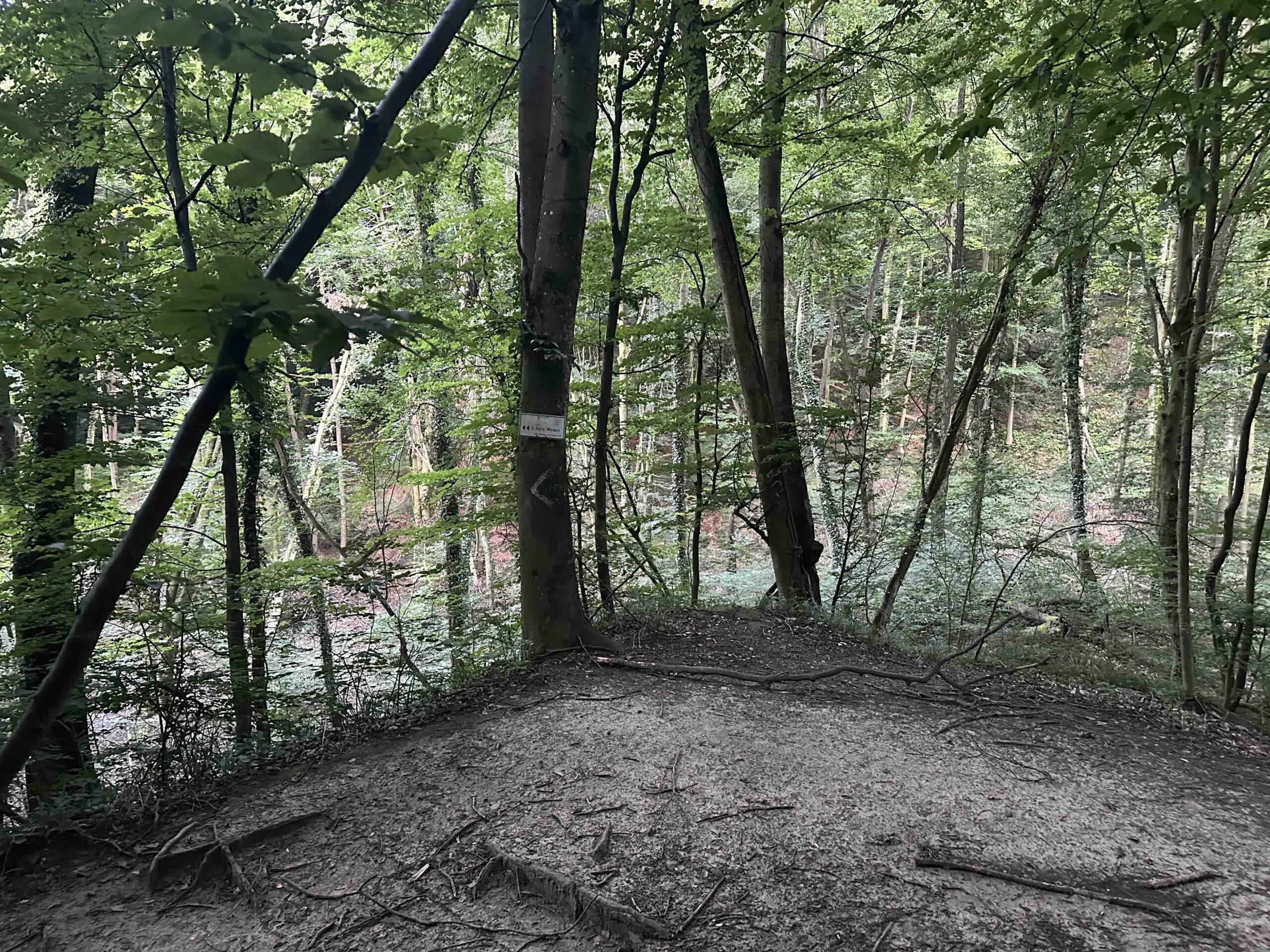 Wegknoten Hagenbachklamm Süd