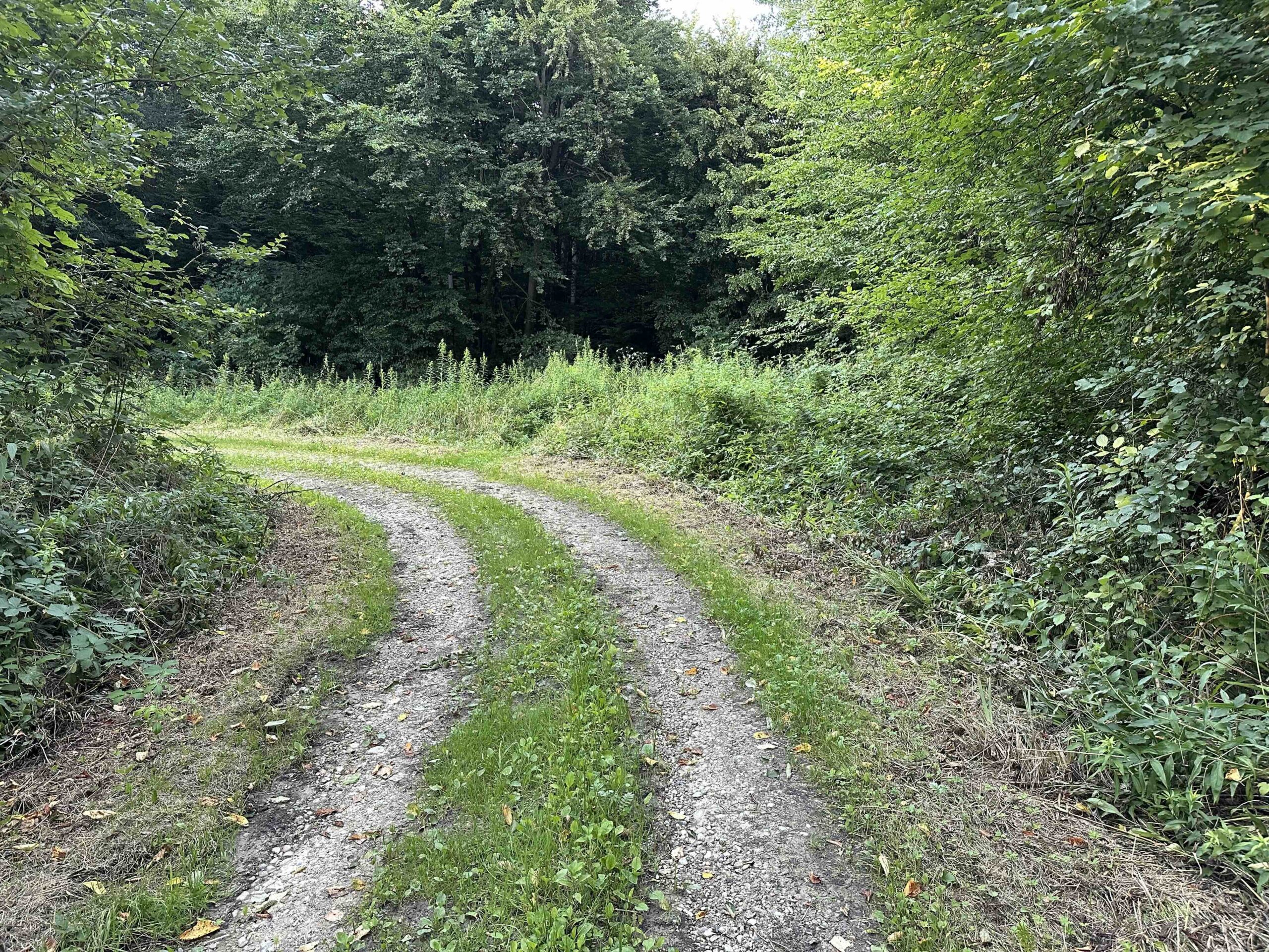 Versteckte Abzweigung.