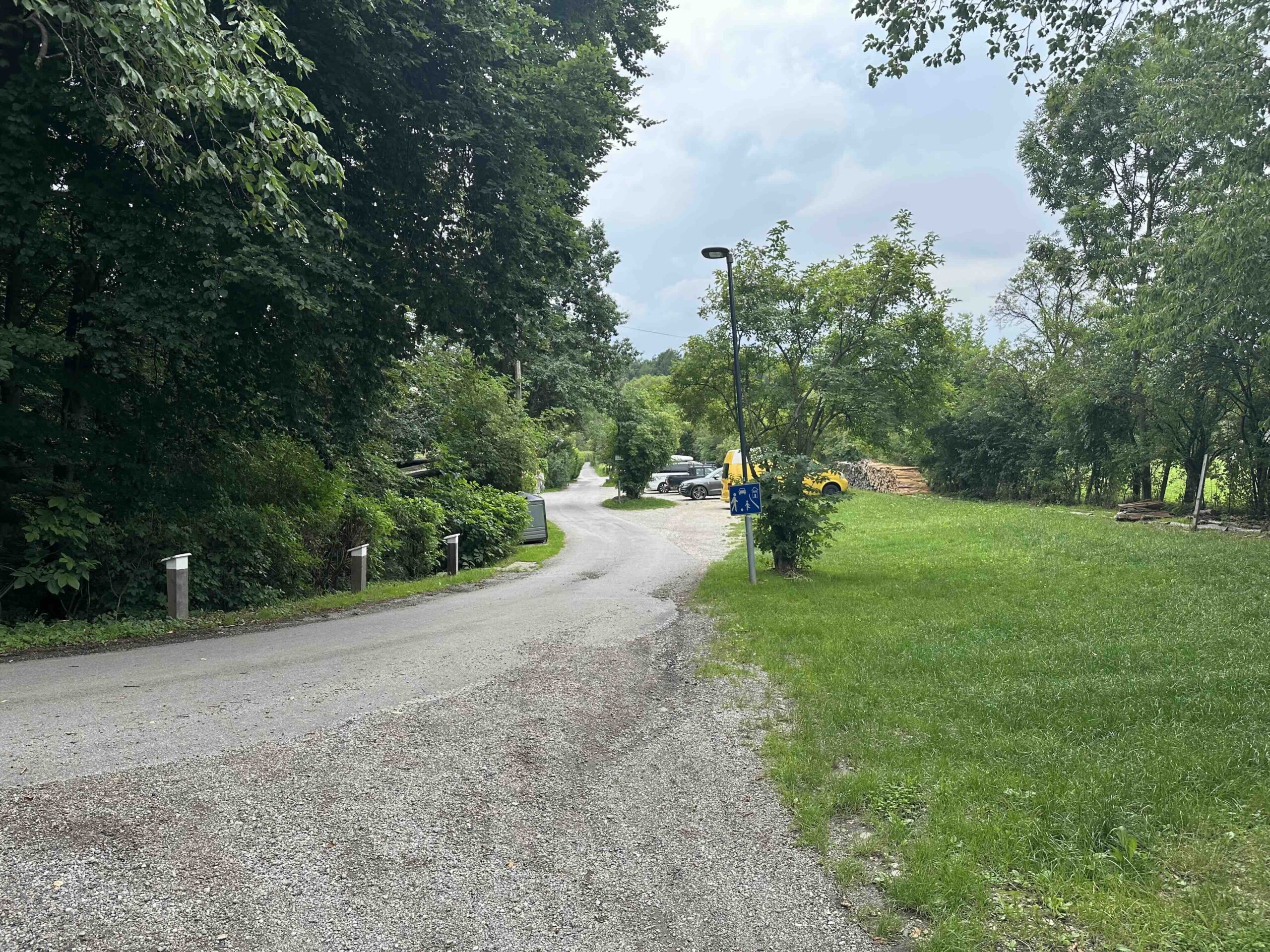 Hainbuch-TulbingerKogel2