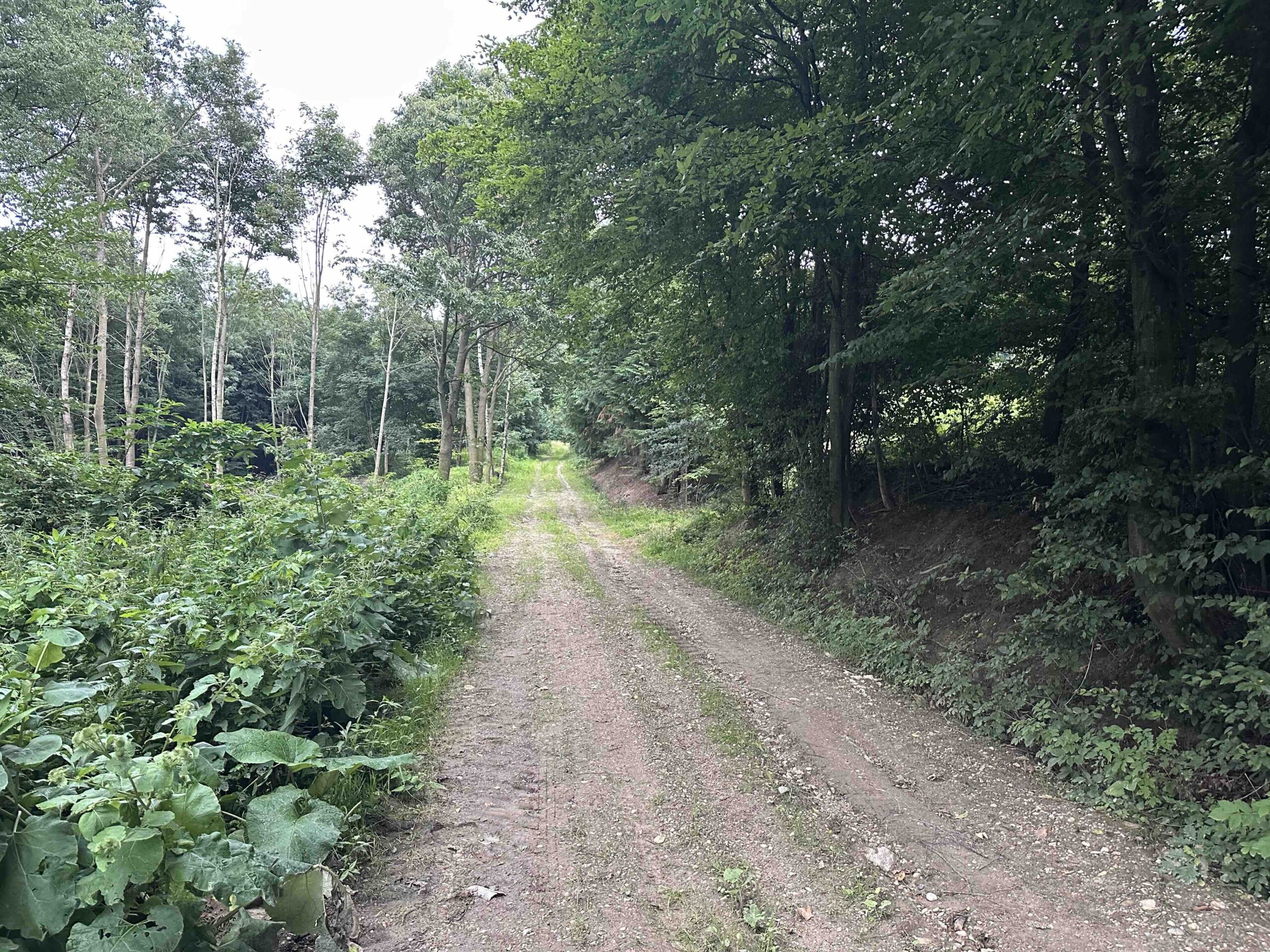 Hintersdorf-Windischhuette4