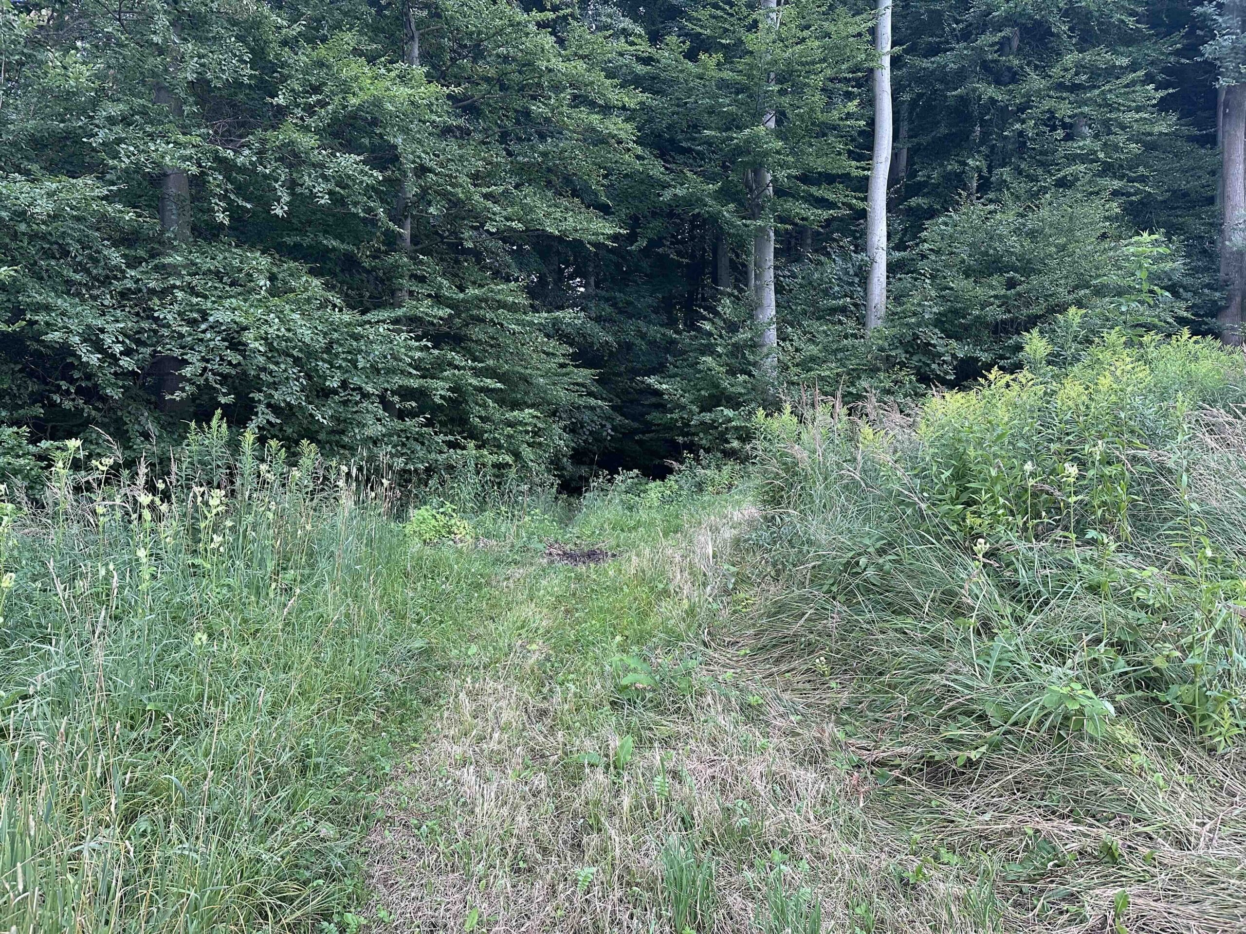 Hintersdorf-Windischhuette5a