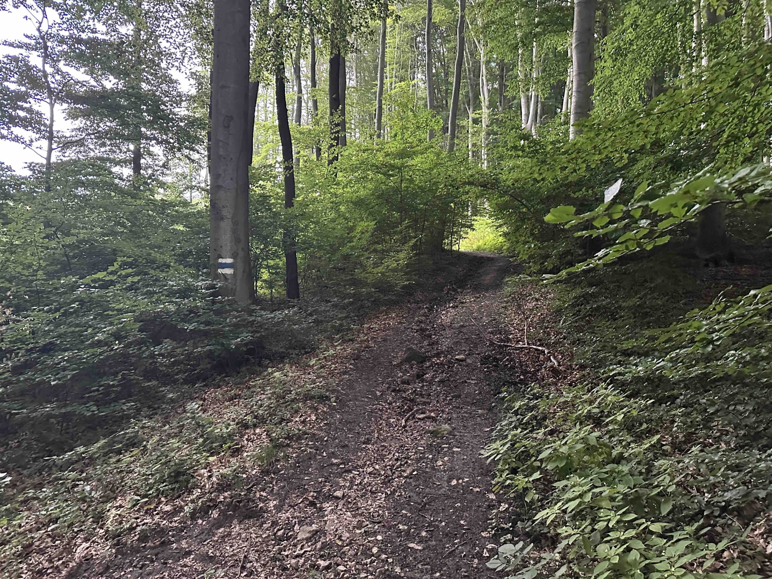 Hintersdorf-Windischhuette5b