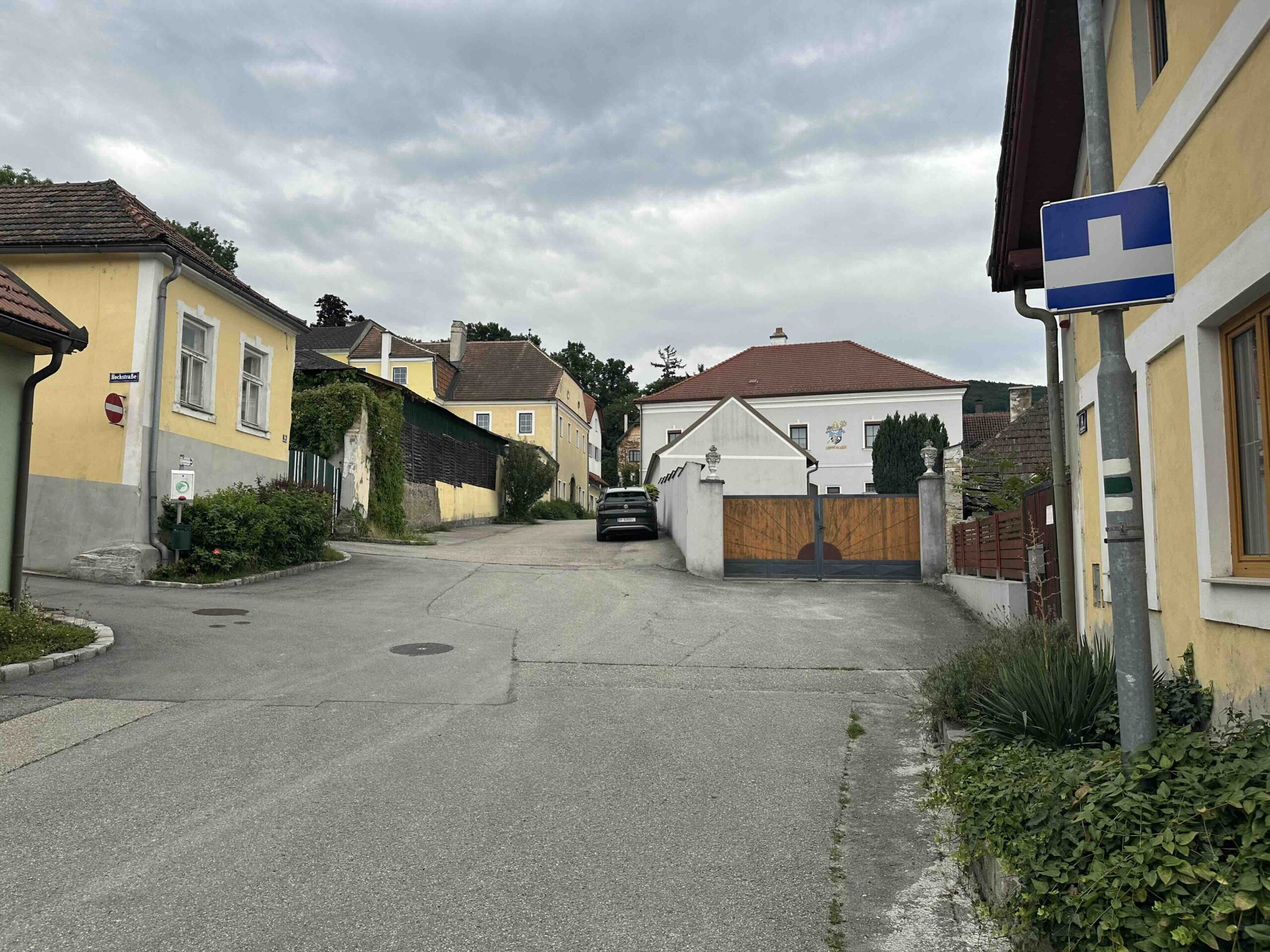 Koenigstetten-Hainbuch1