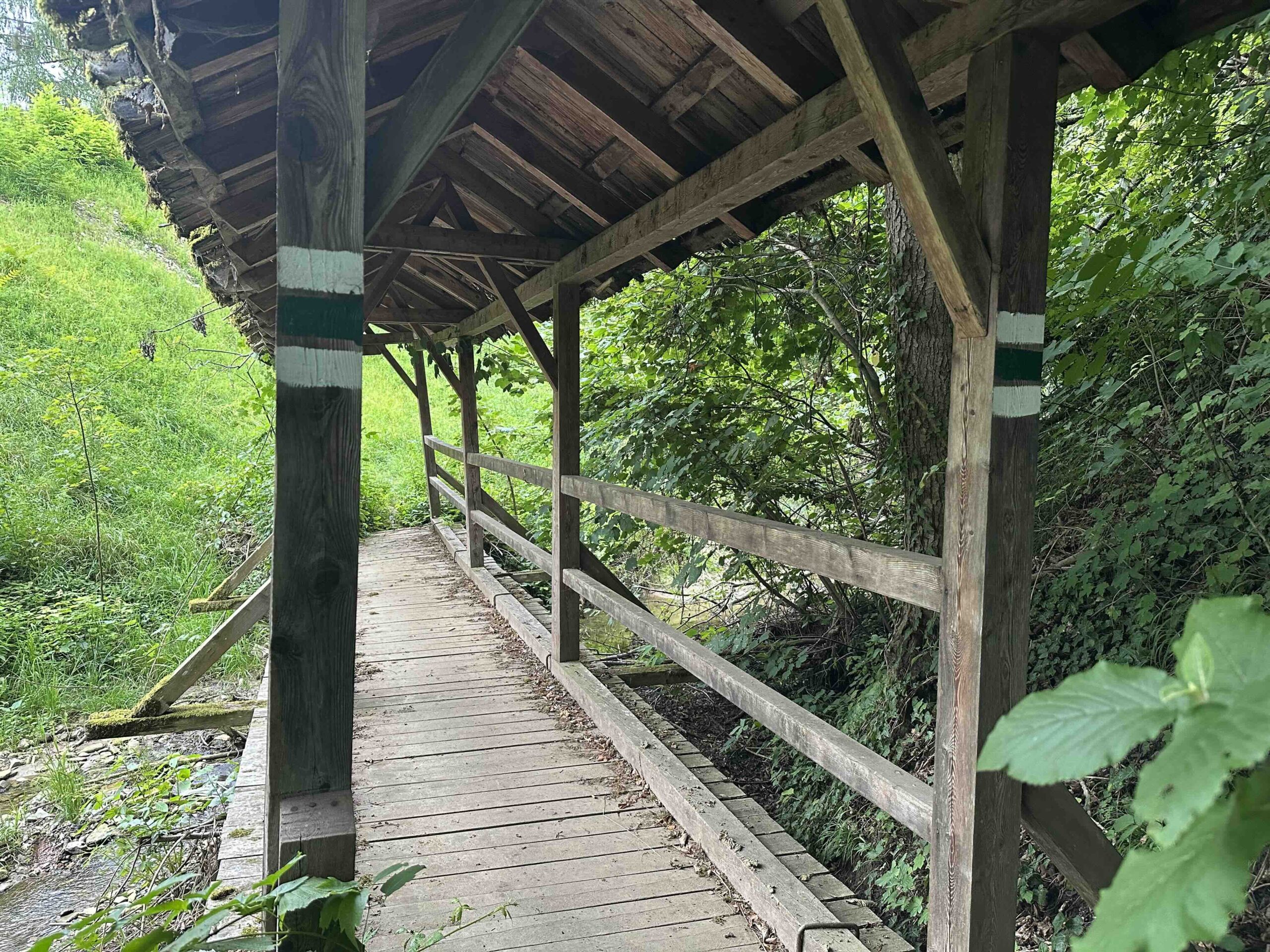 Koenigstetten-Hainbuch11