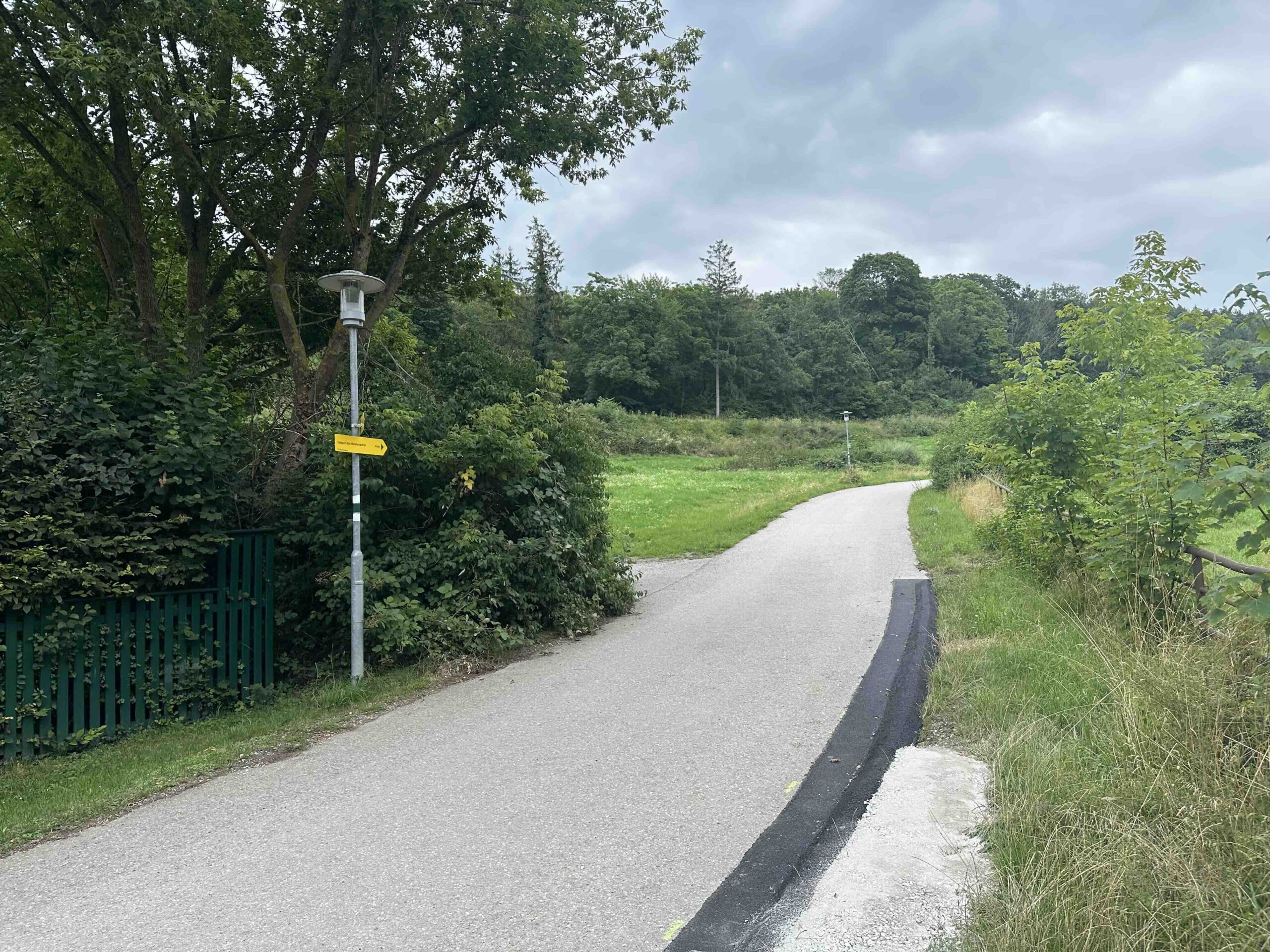 Koenigstetten-Hainbuch12