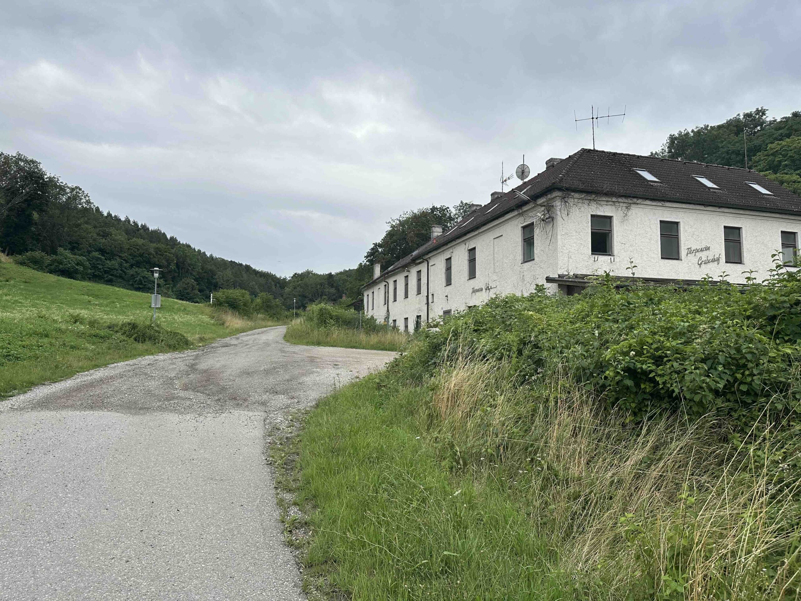 Koenigstetten-Hainbuch13