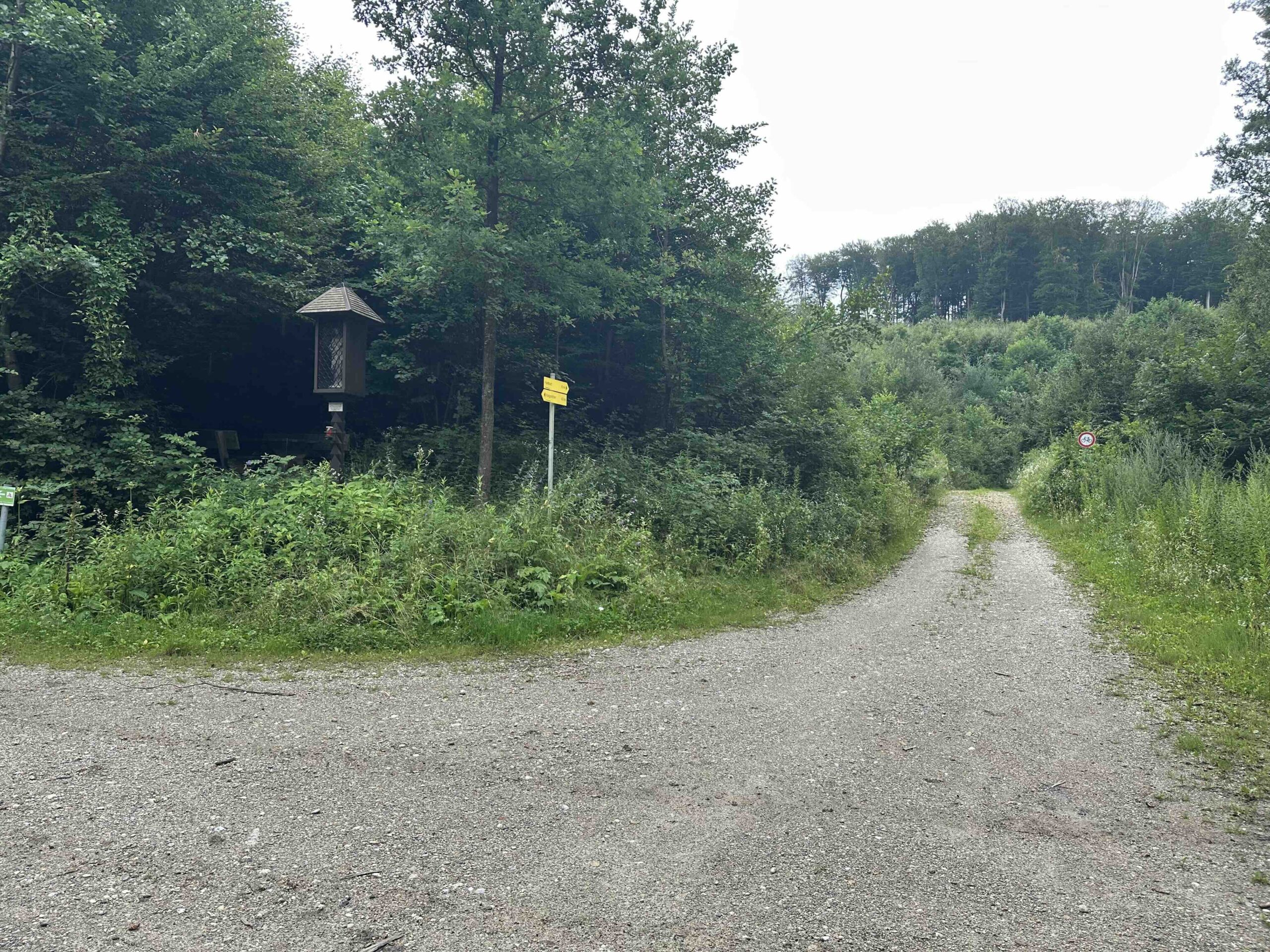 Koenigstetten-Hainbuch17