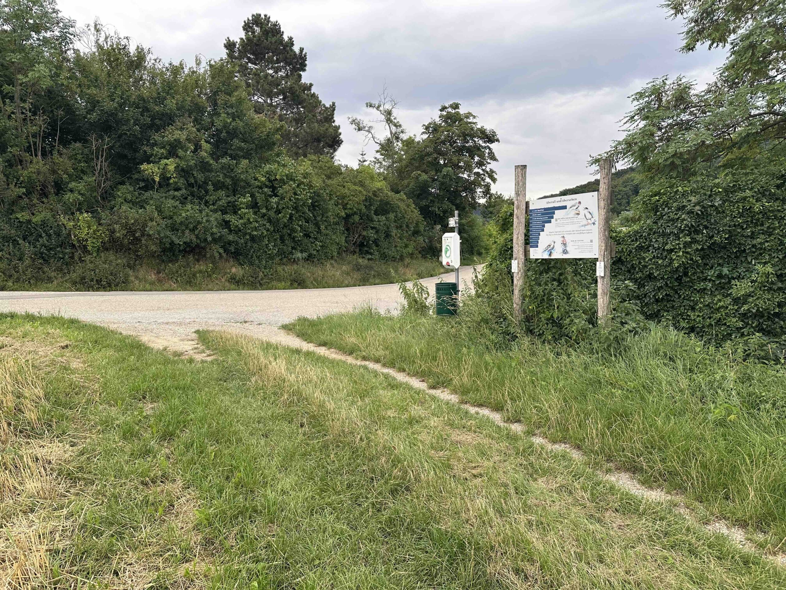 Koenigstetten-Hainbuch8