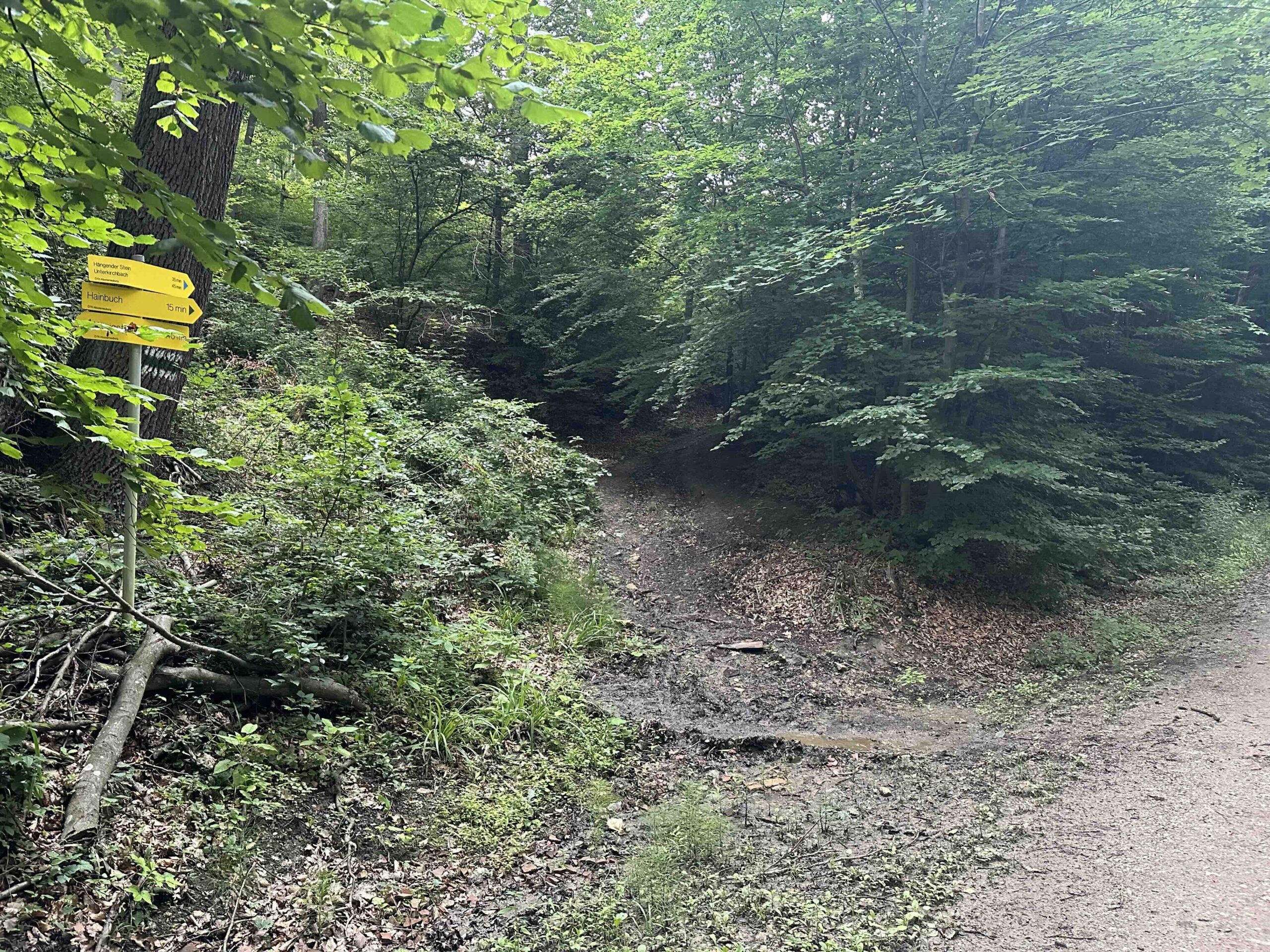 Wegknoten Marleitengraben