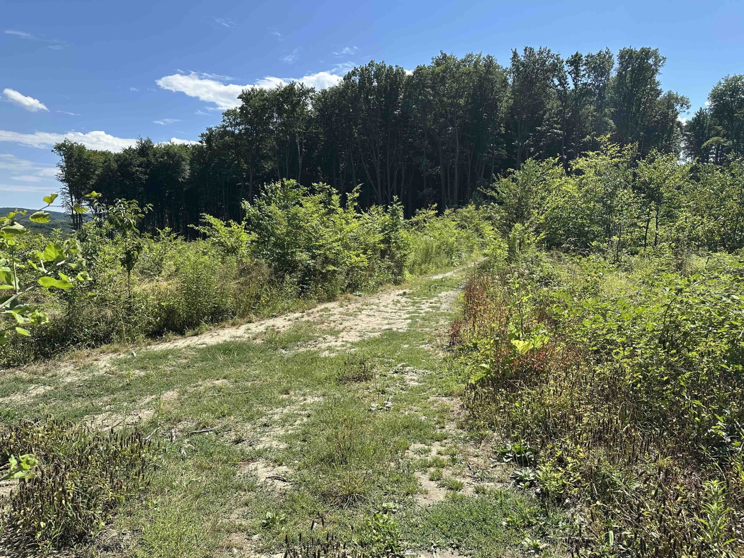 Ristelweg-Greifvogelstation1