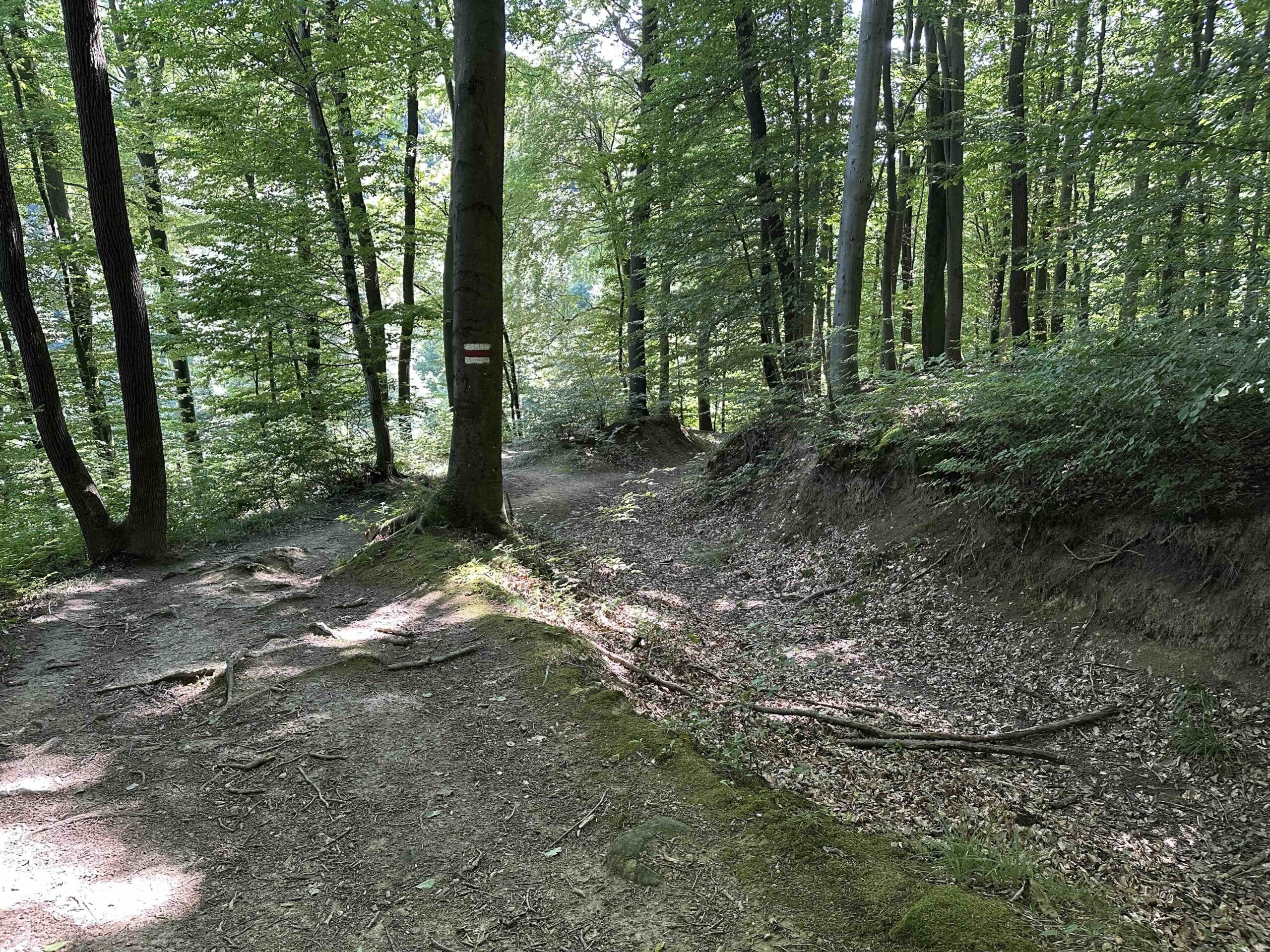 Ristelweg-Greifvogelstation12