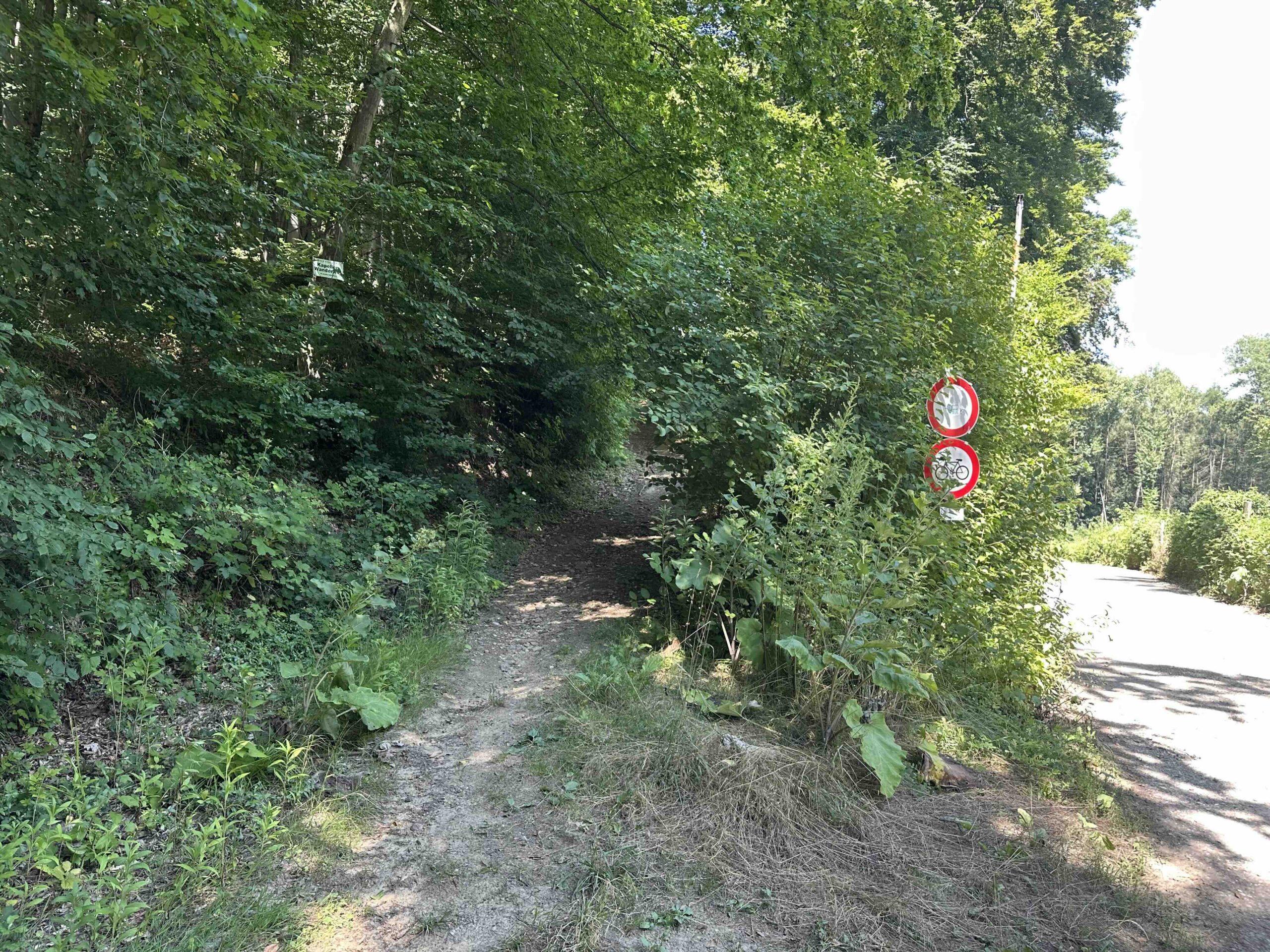 Ristelweg-Greifvogelstation13