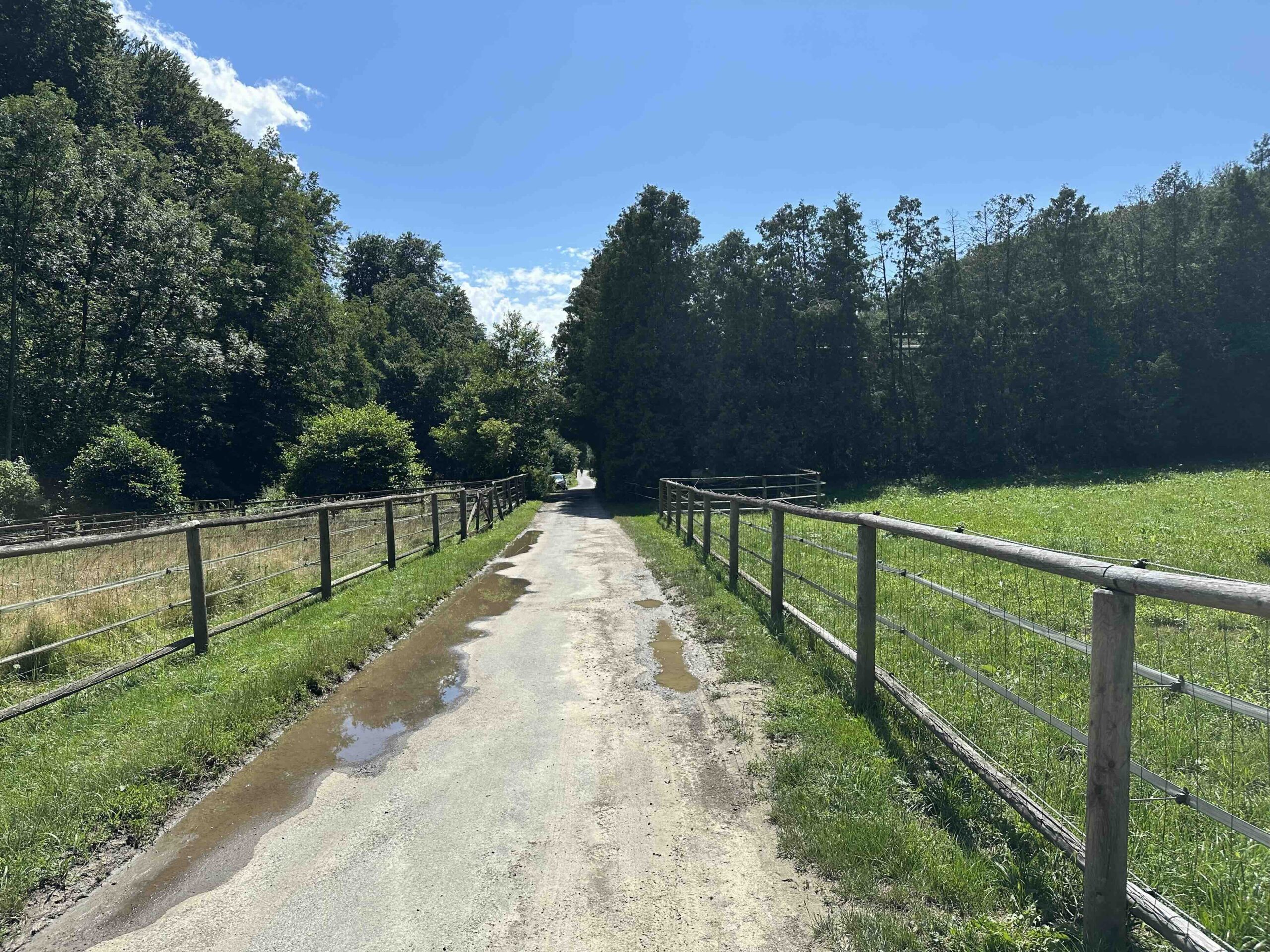 Ristelweg-Greifvogelstation14