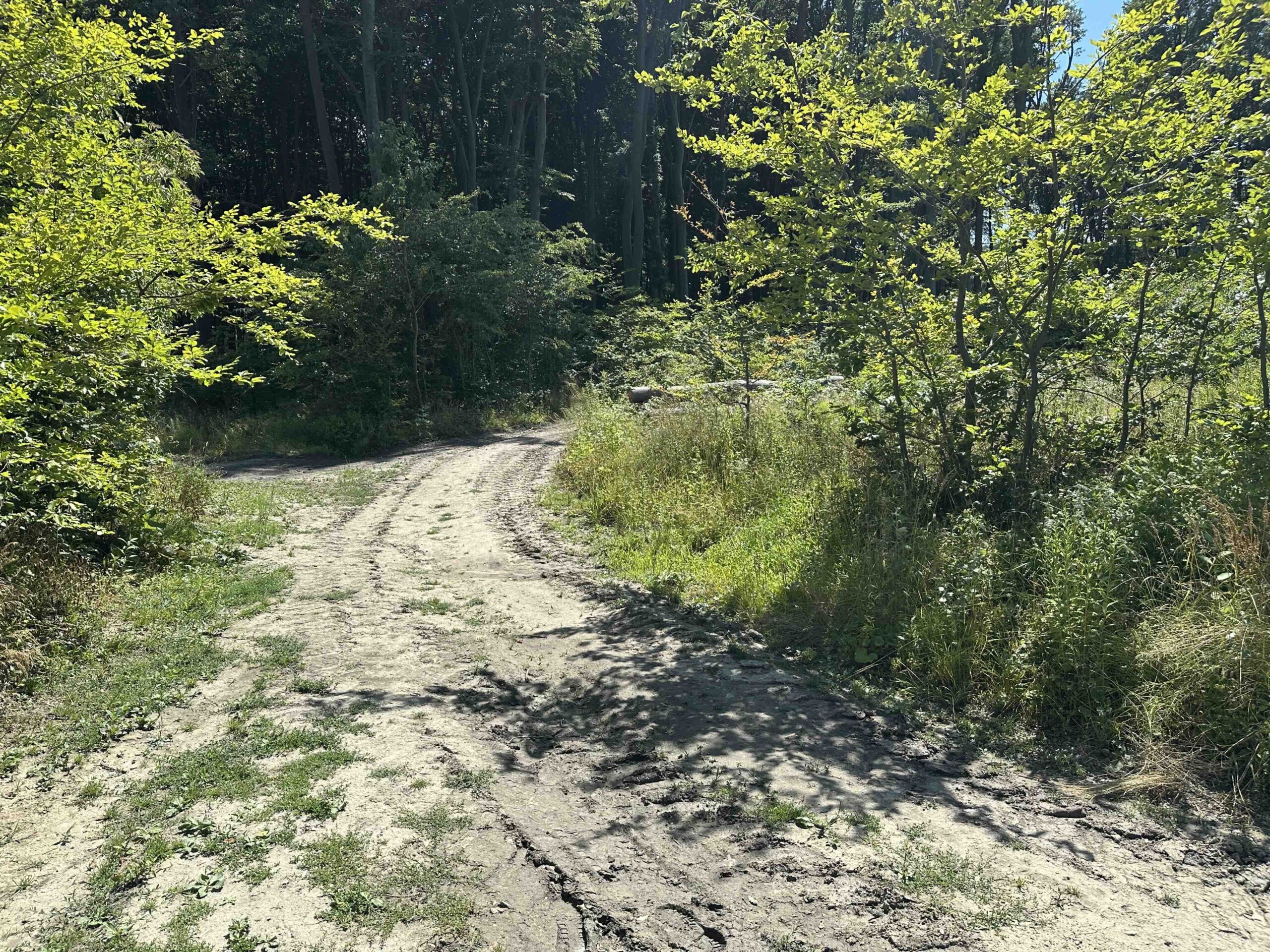 Ristelweg-Greifvogelstation2